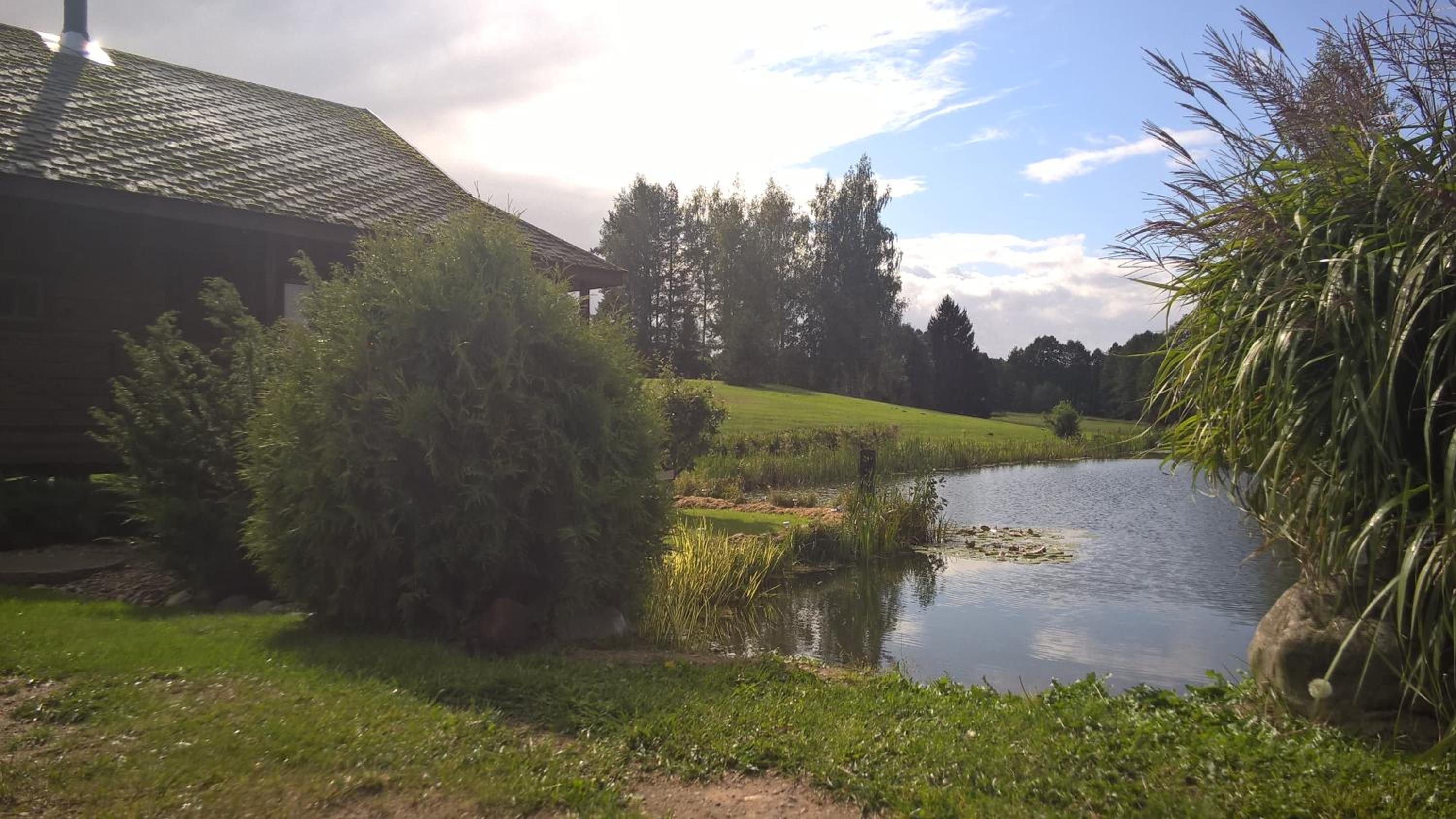 Photo 21