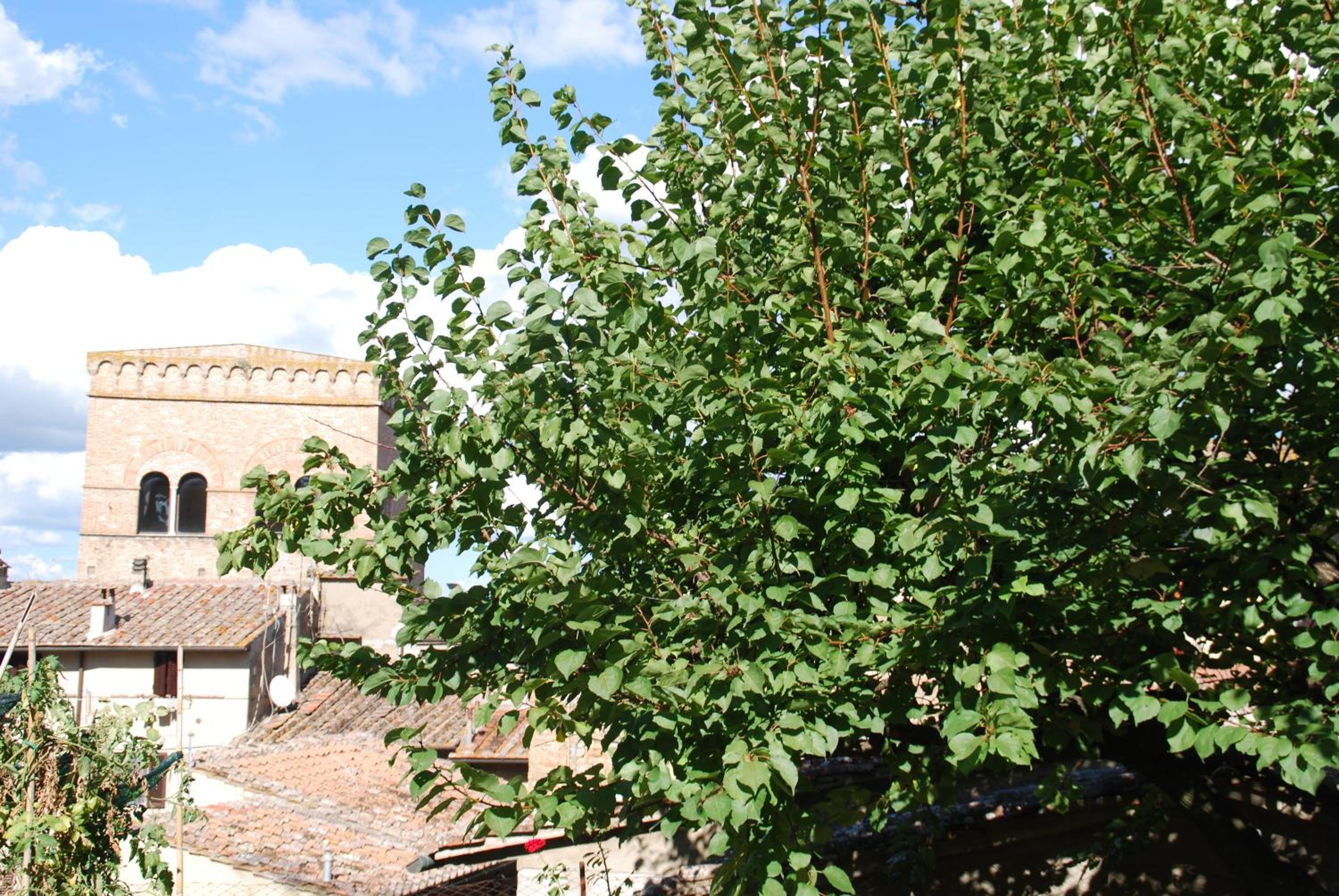 Orto di Emma view 4