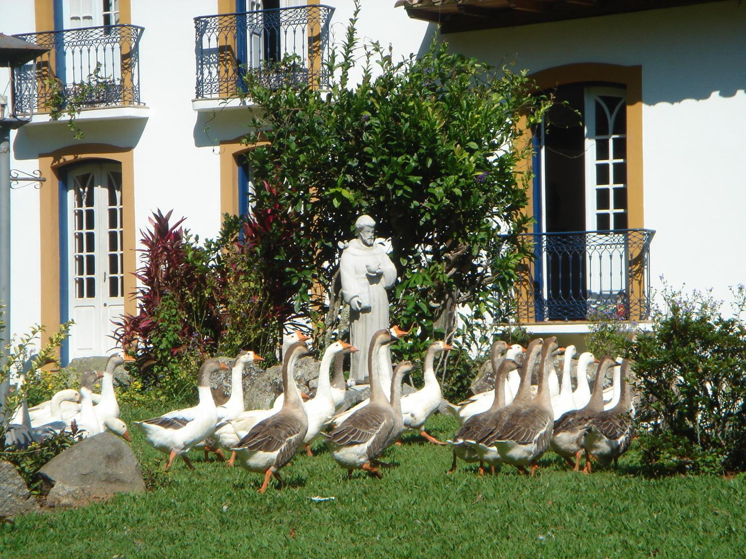 Hotel Fazenda São Francisco