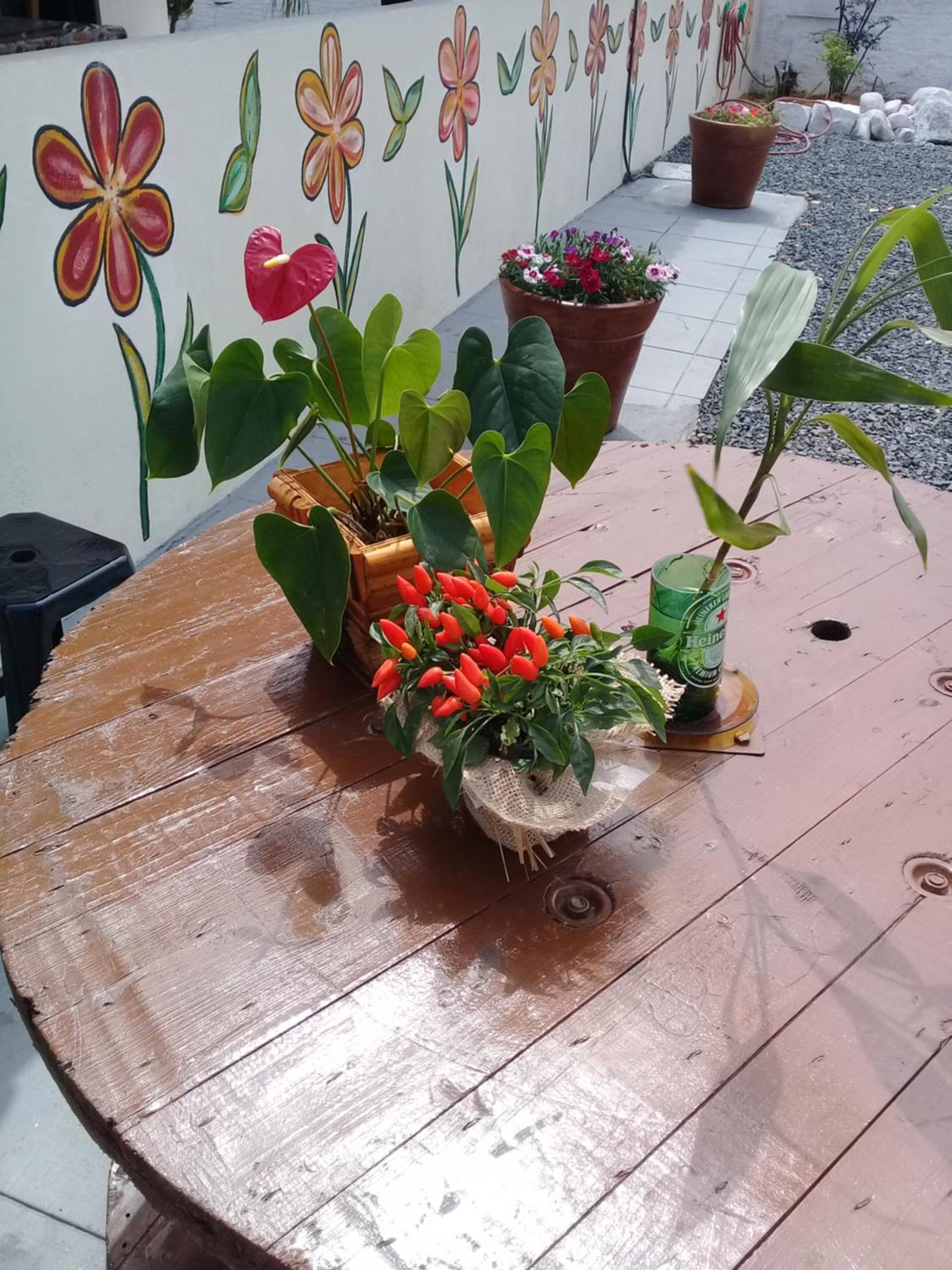 Hostel Cidade das Flores 2