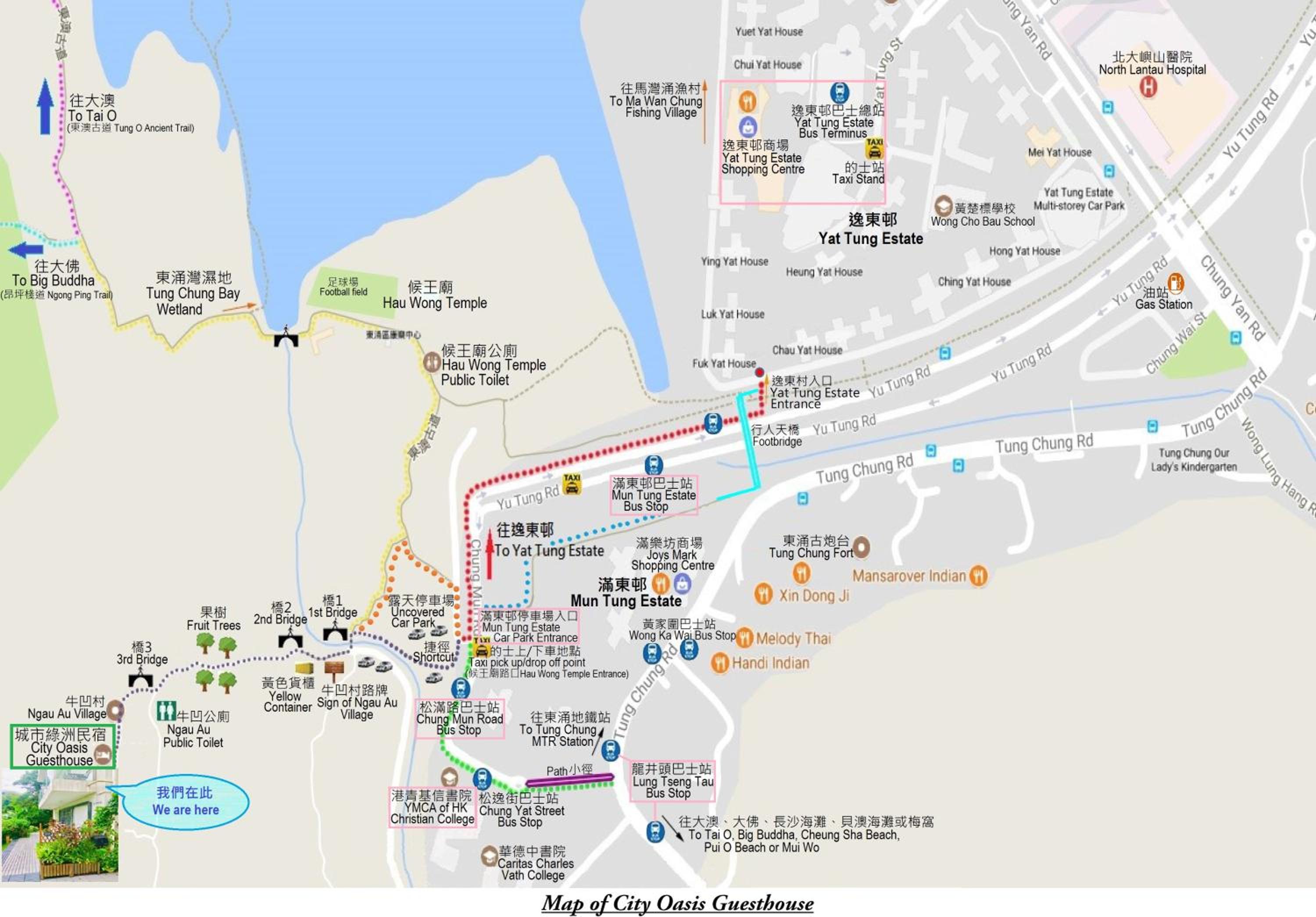 City Oasis Guesthouse