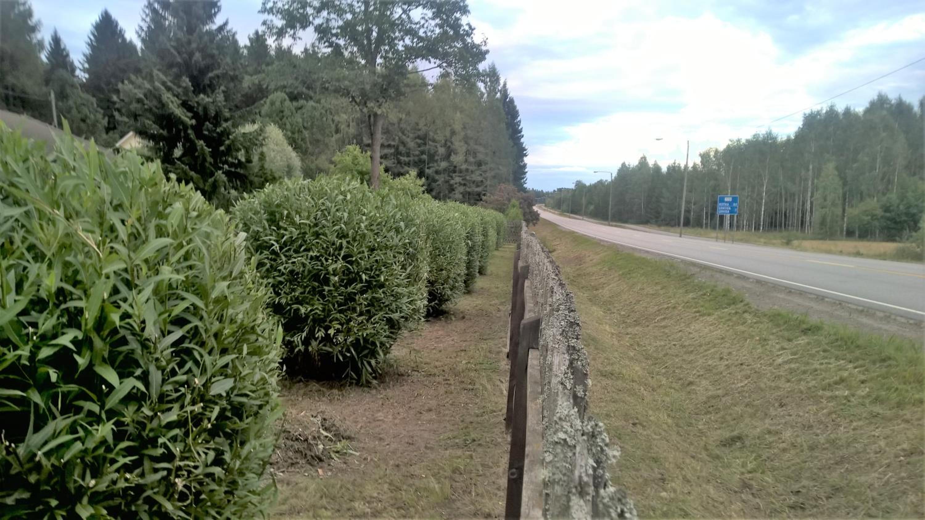 Photo 48