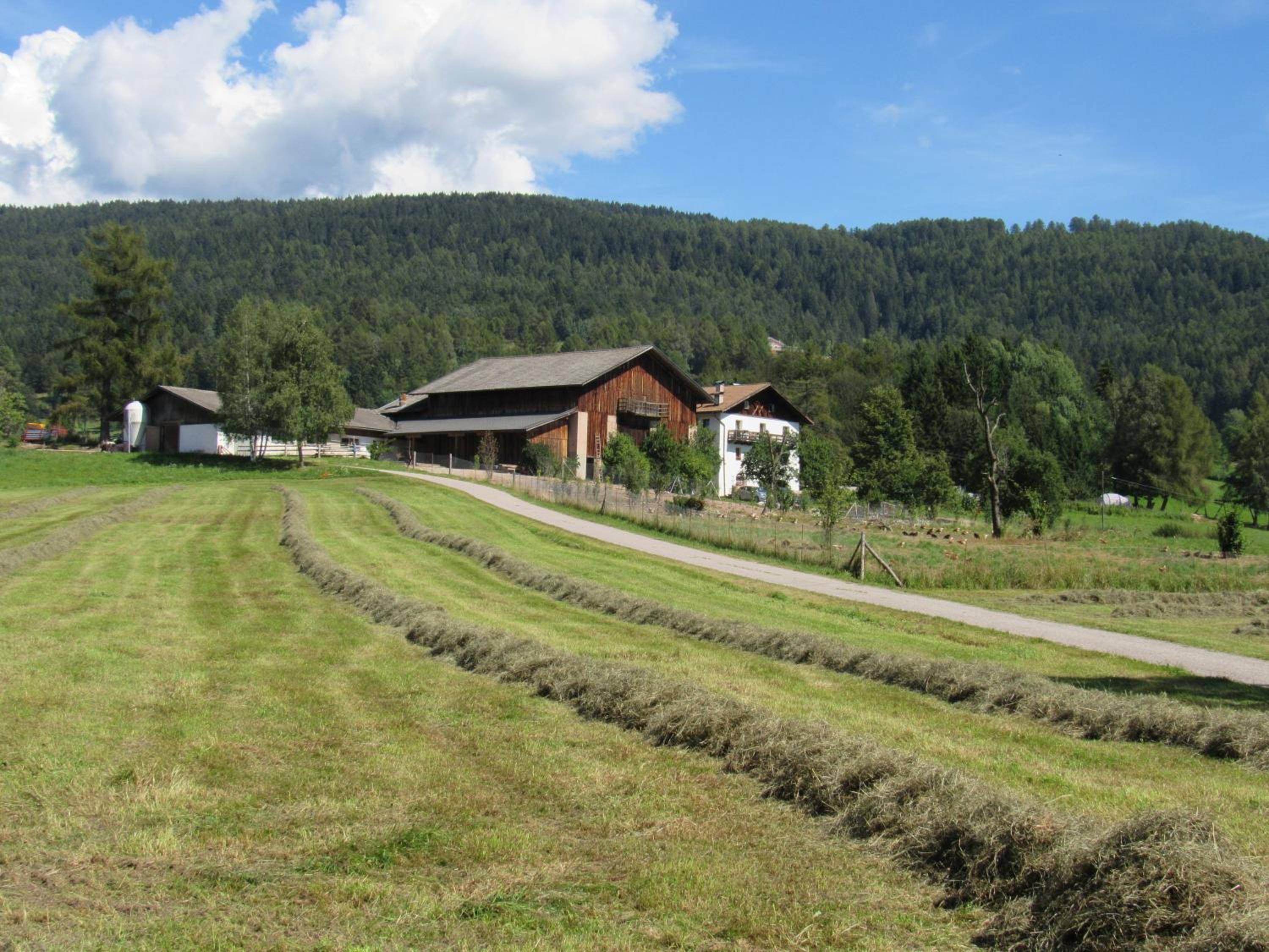 Photo 10