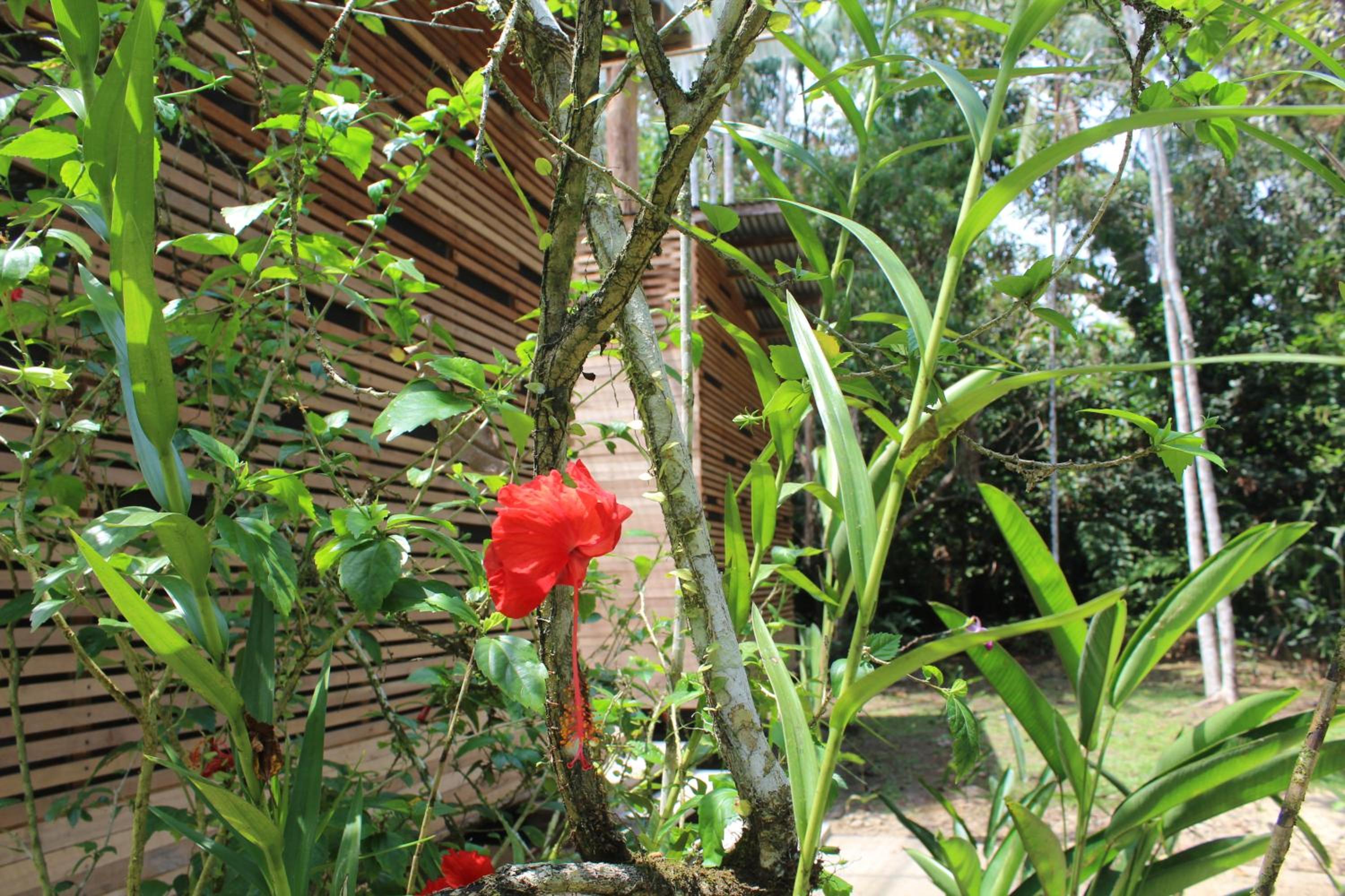 Photo 48
