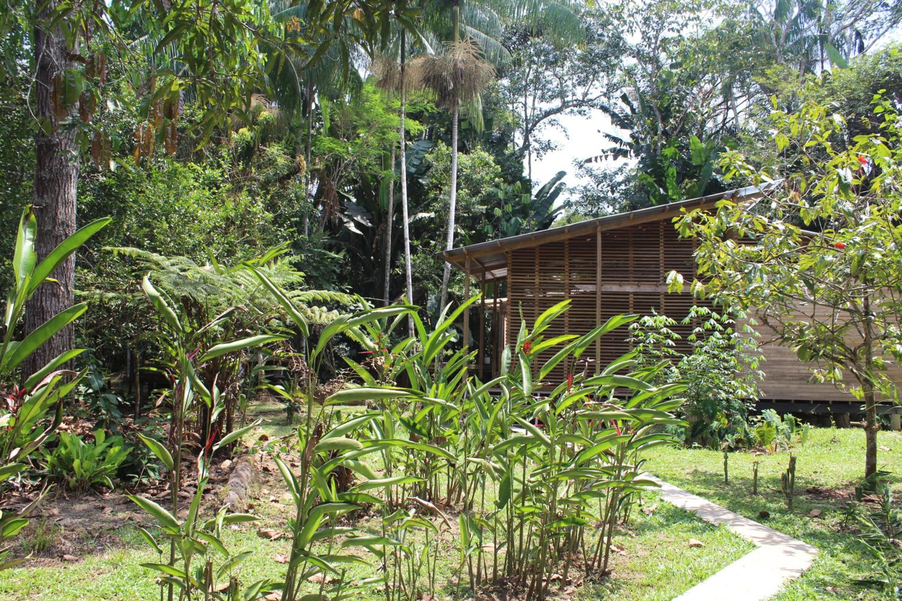 Photo 42