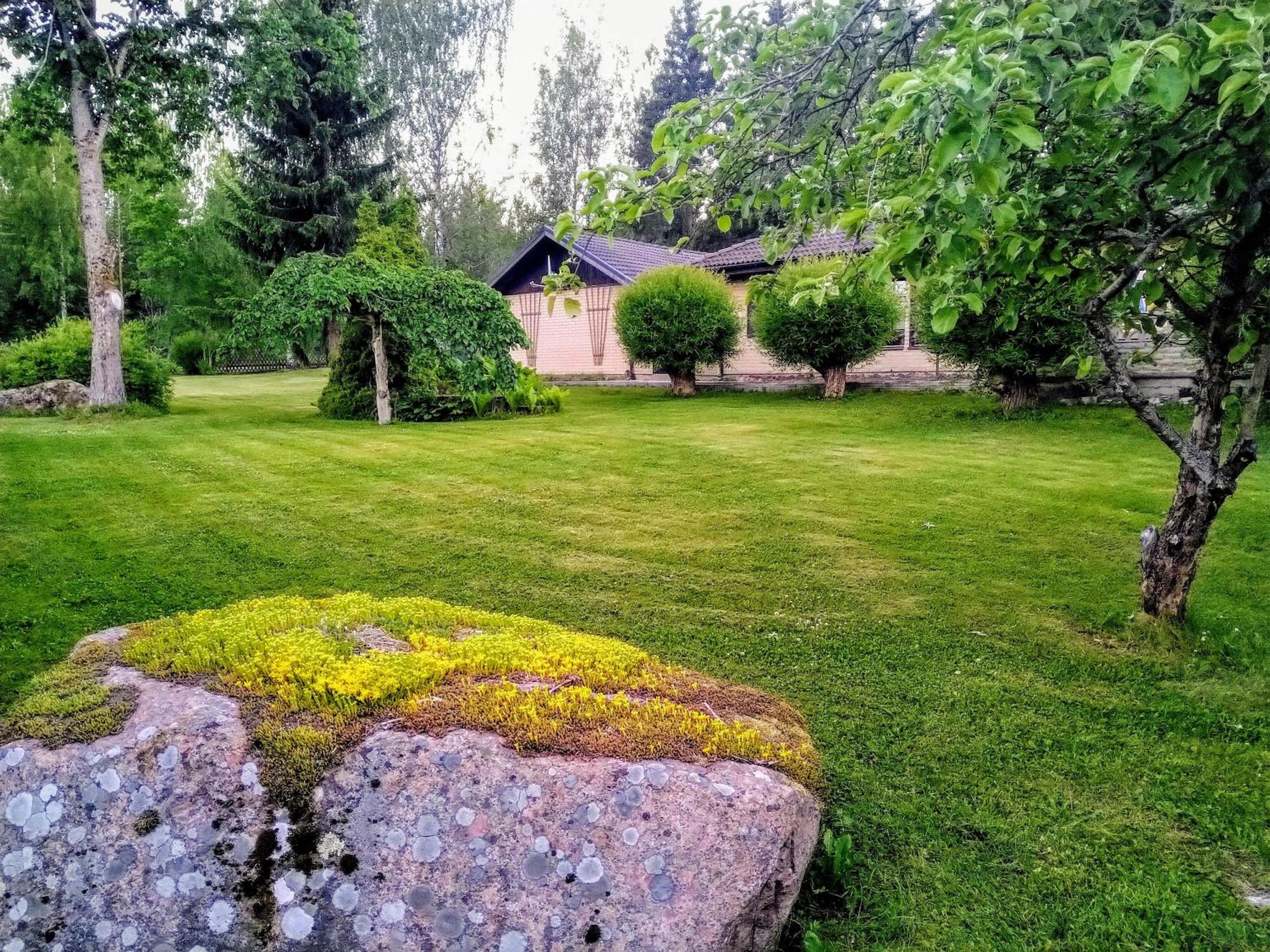 Photo 45