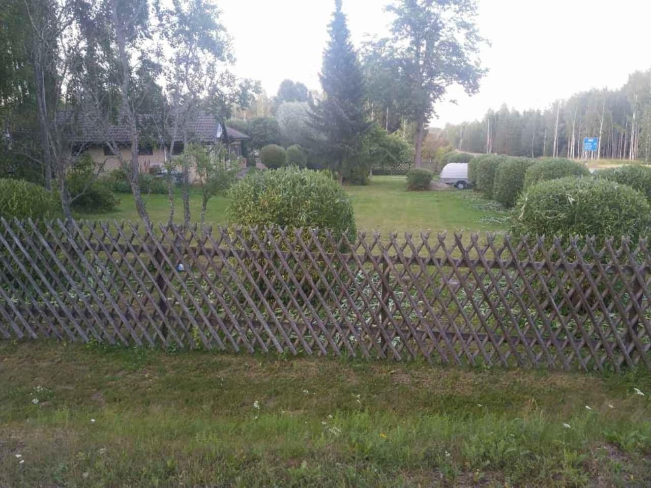 Photo 44