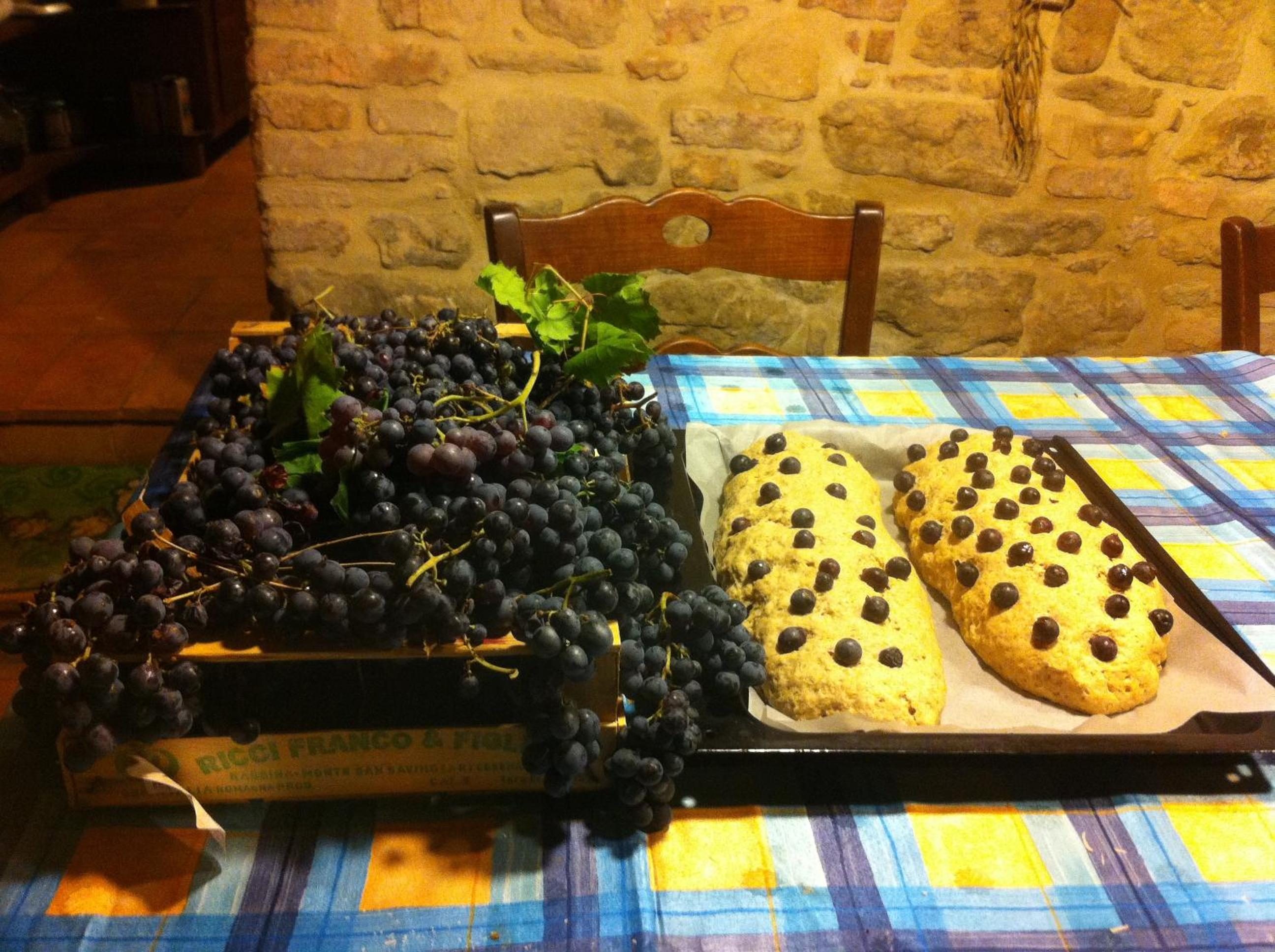 Il Belvederino