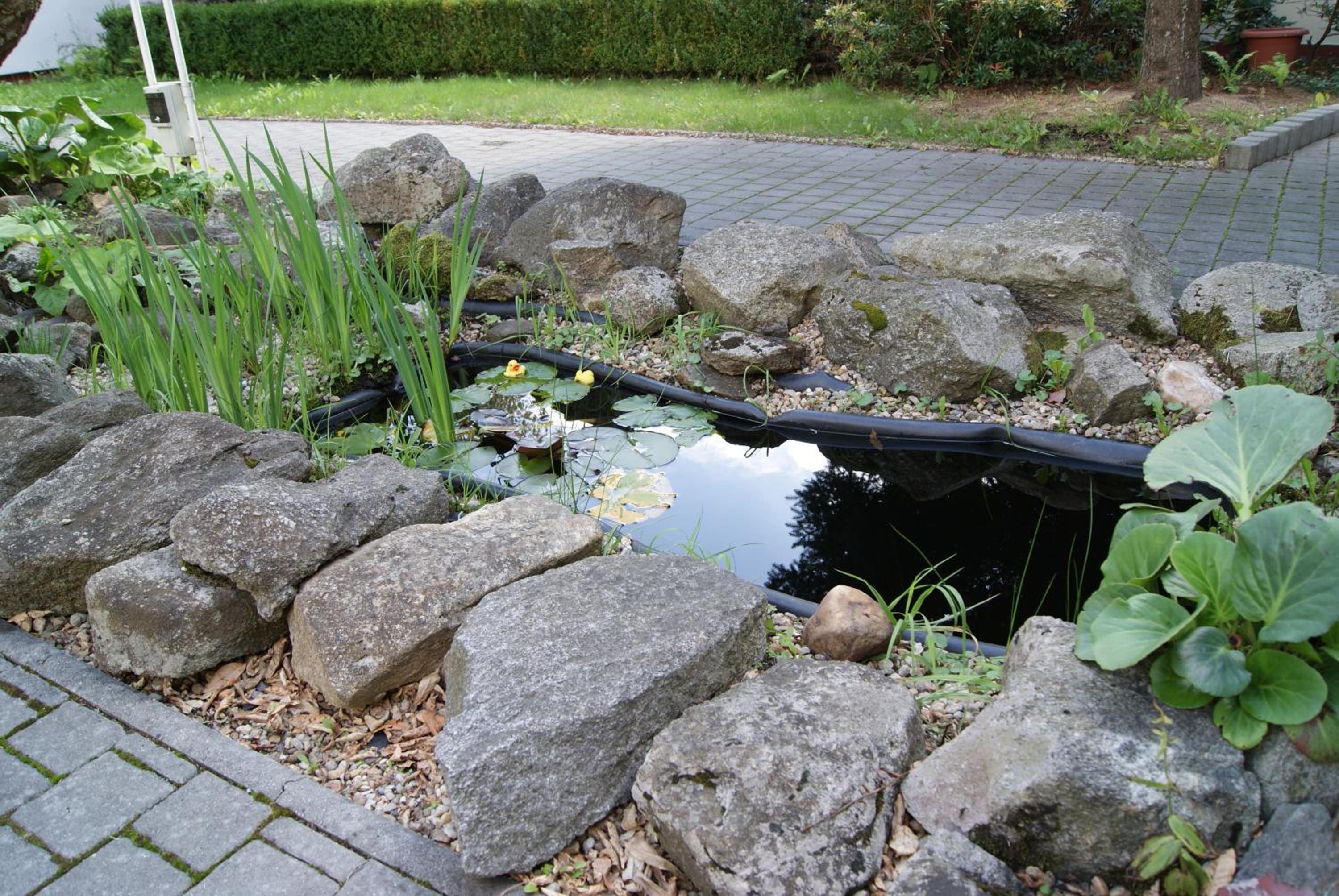 Photo 46