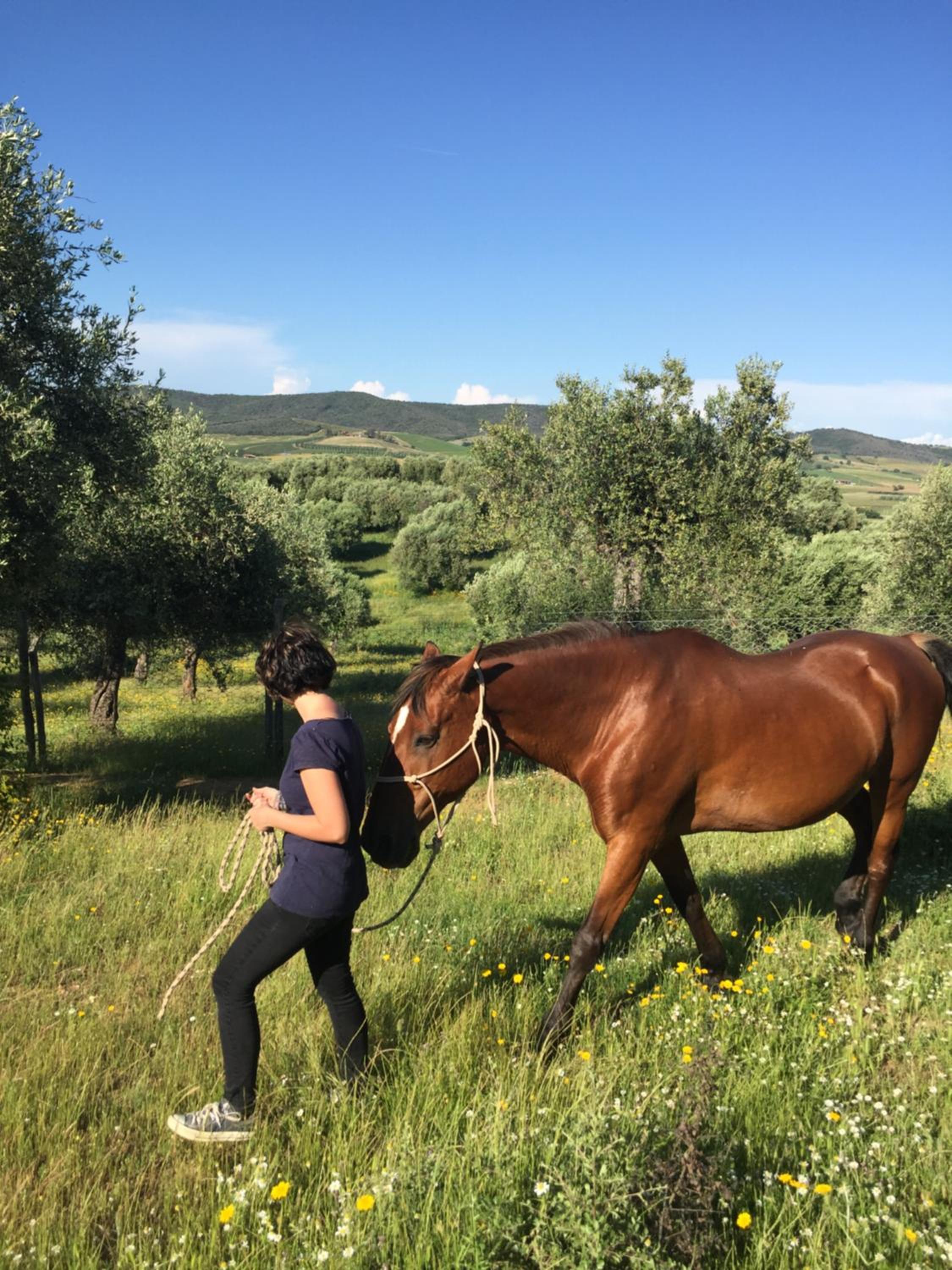 Agriturismo La Valentina Nuova