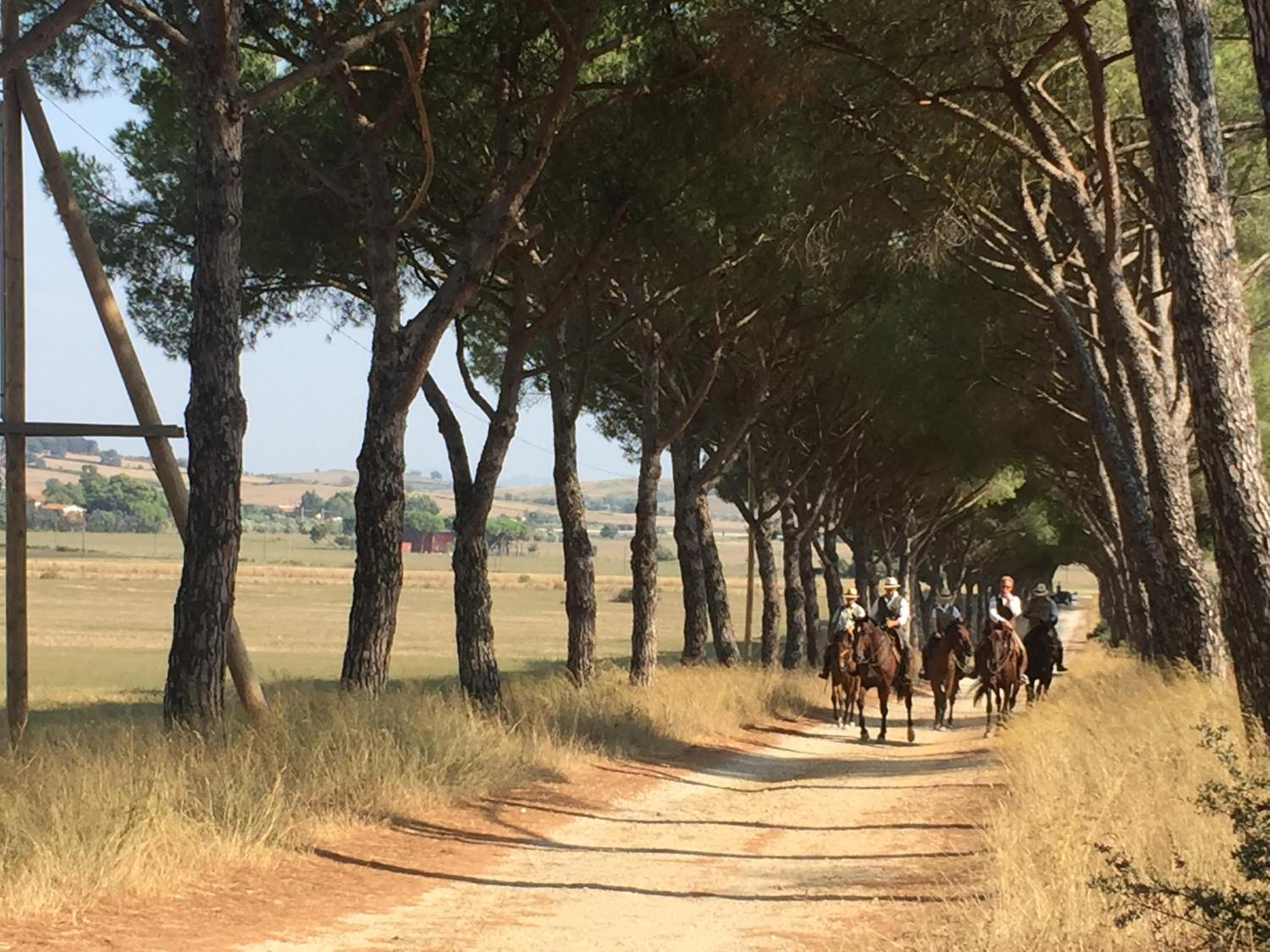 Agriturismo La Valentina Nuova