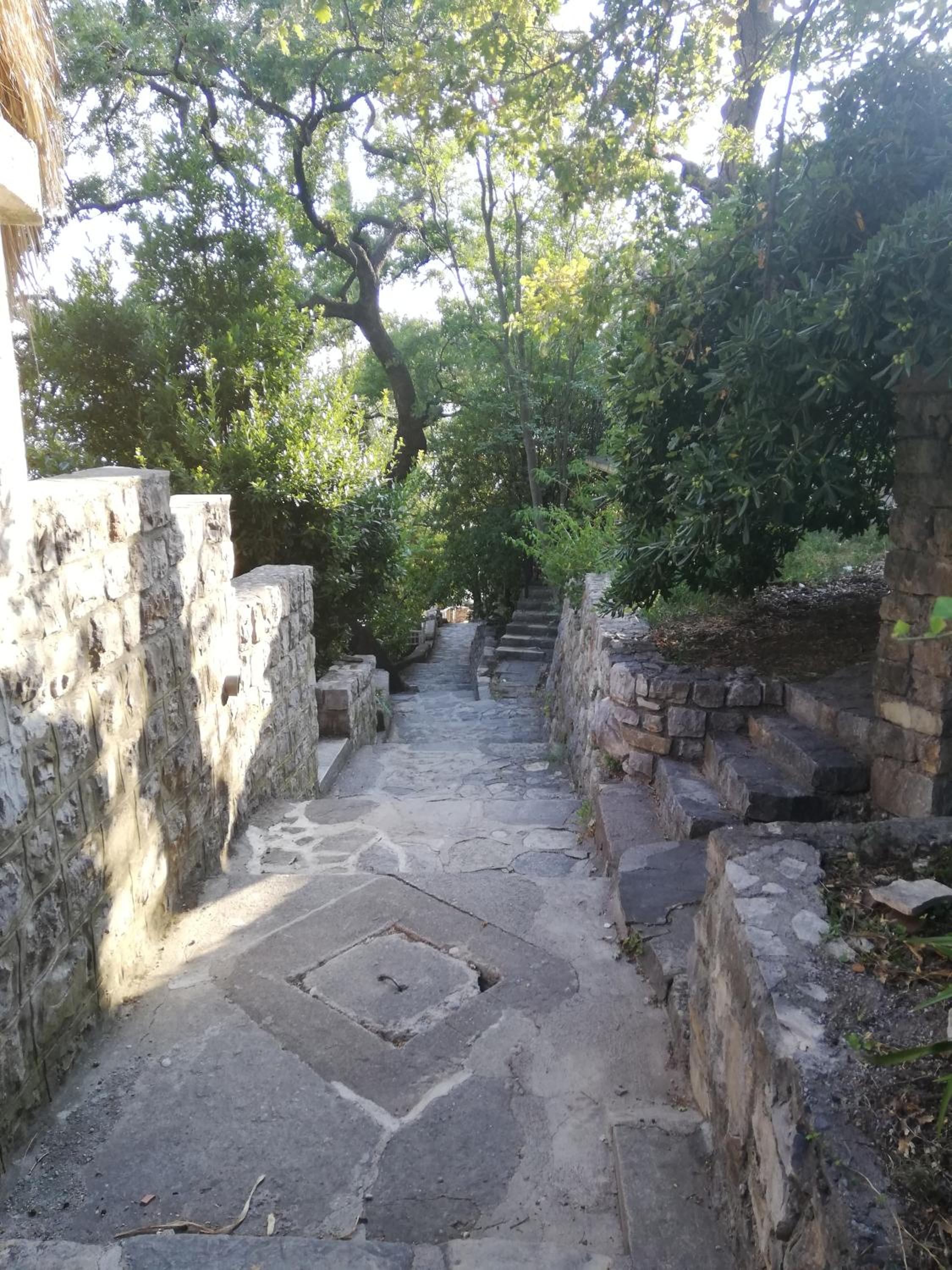 Photo 28