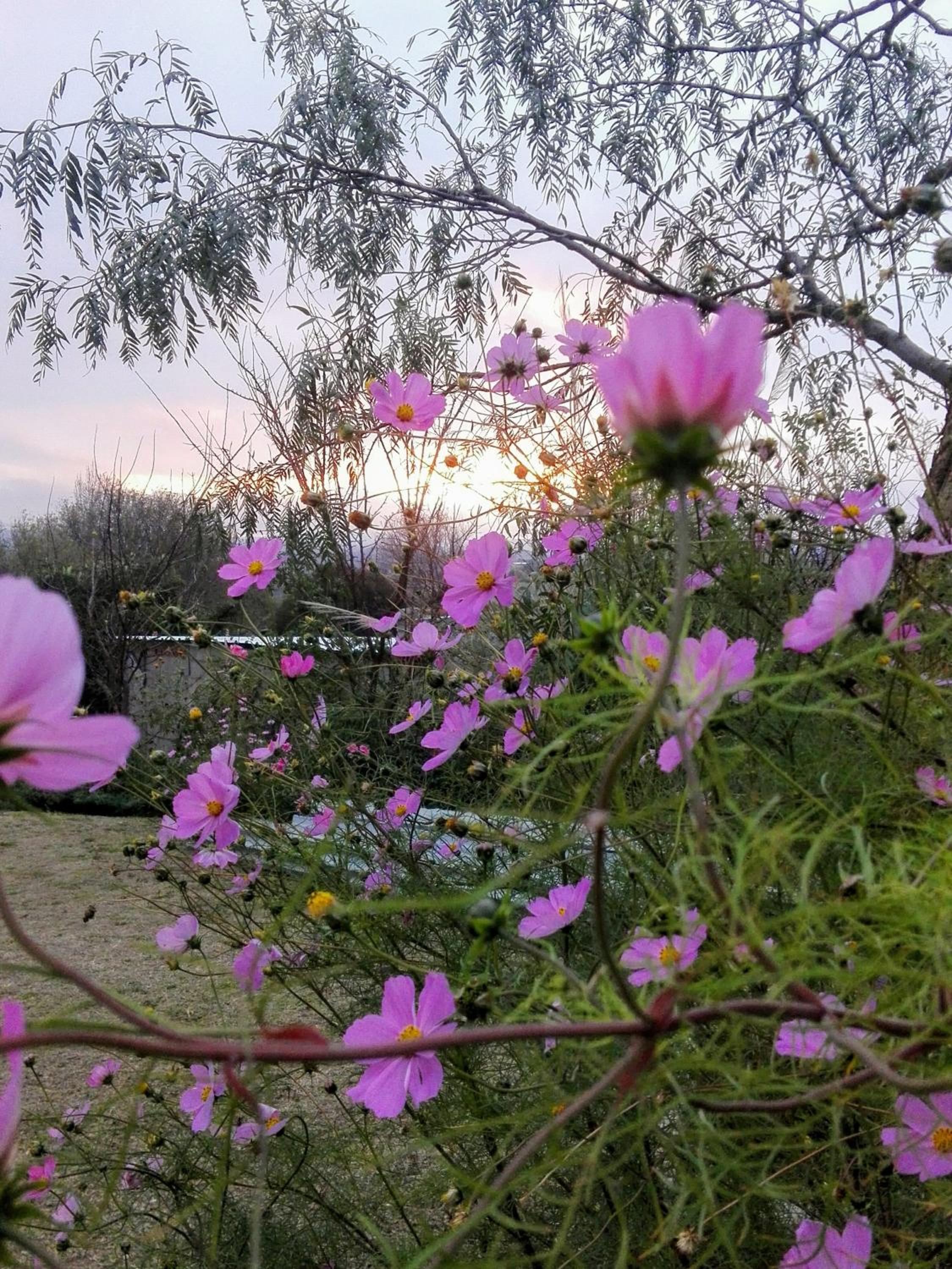 Atardecer Serrano