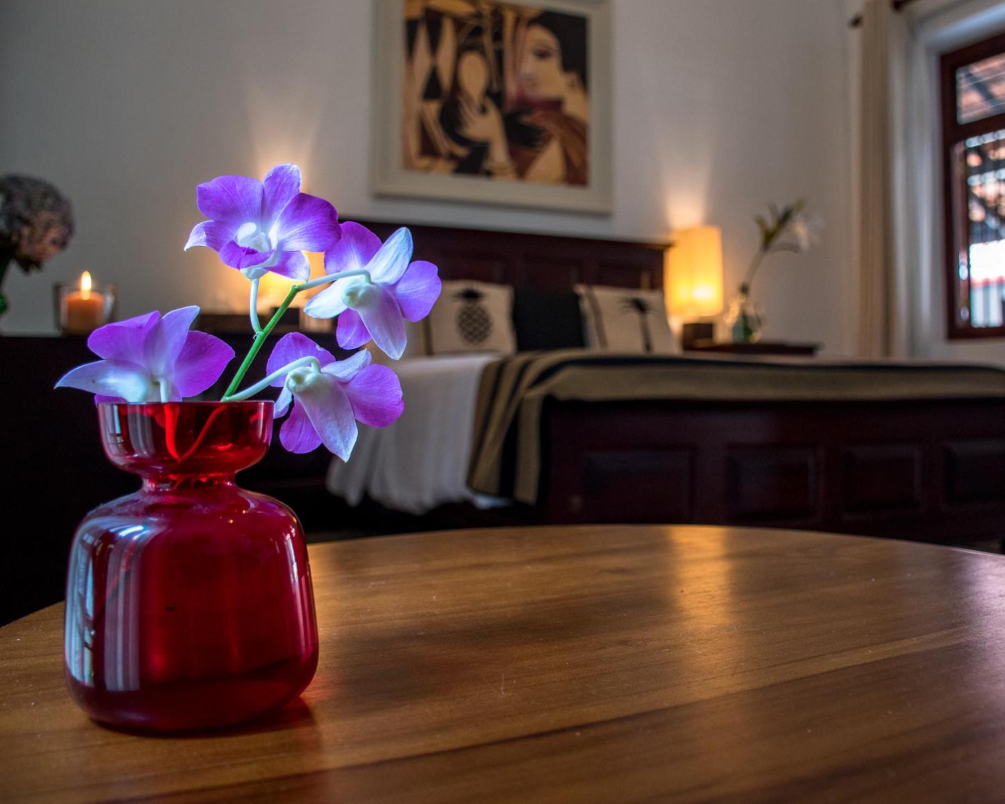 Fox Jaffna by Fox Resorts - Boutique Heritage Luxury