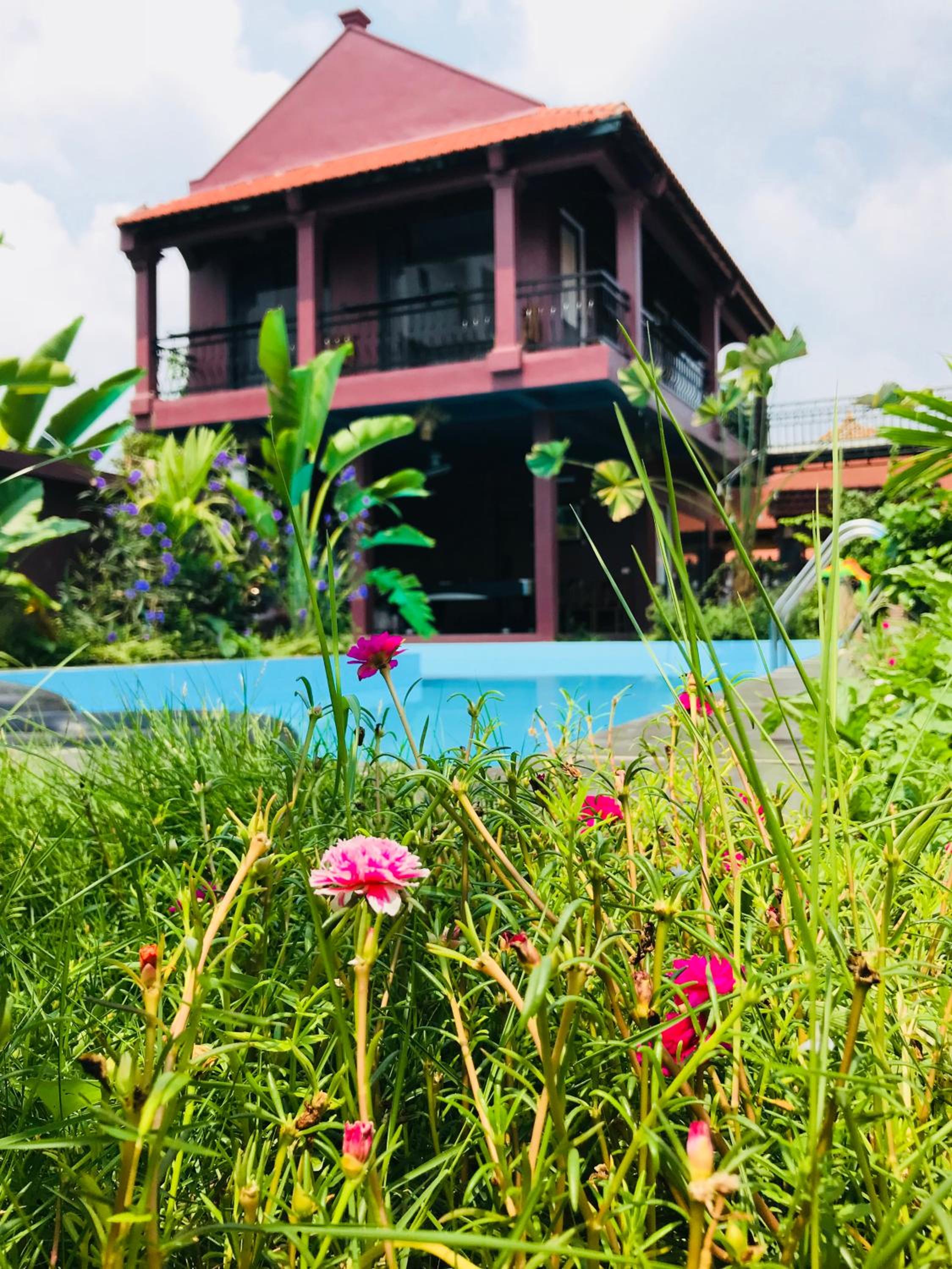 Tam Coc Tea House Homestay