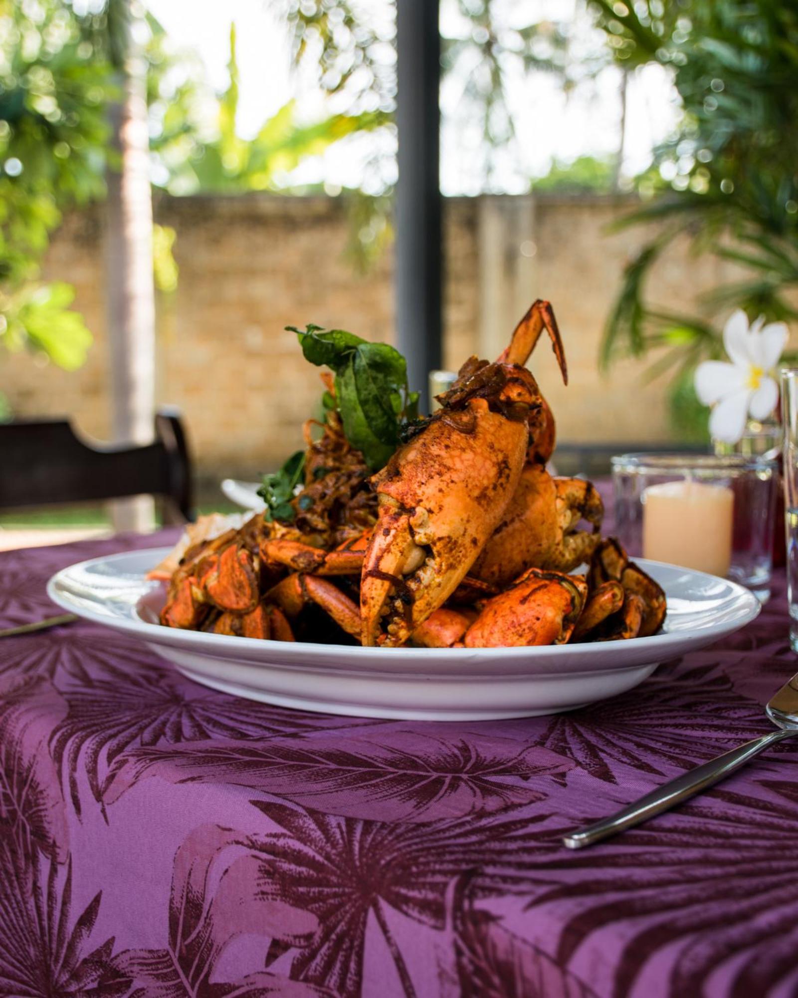 Fox Jaffna by Fox Resorts - Boutique Heritage Luxury