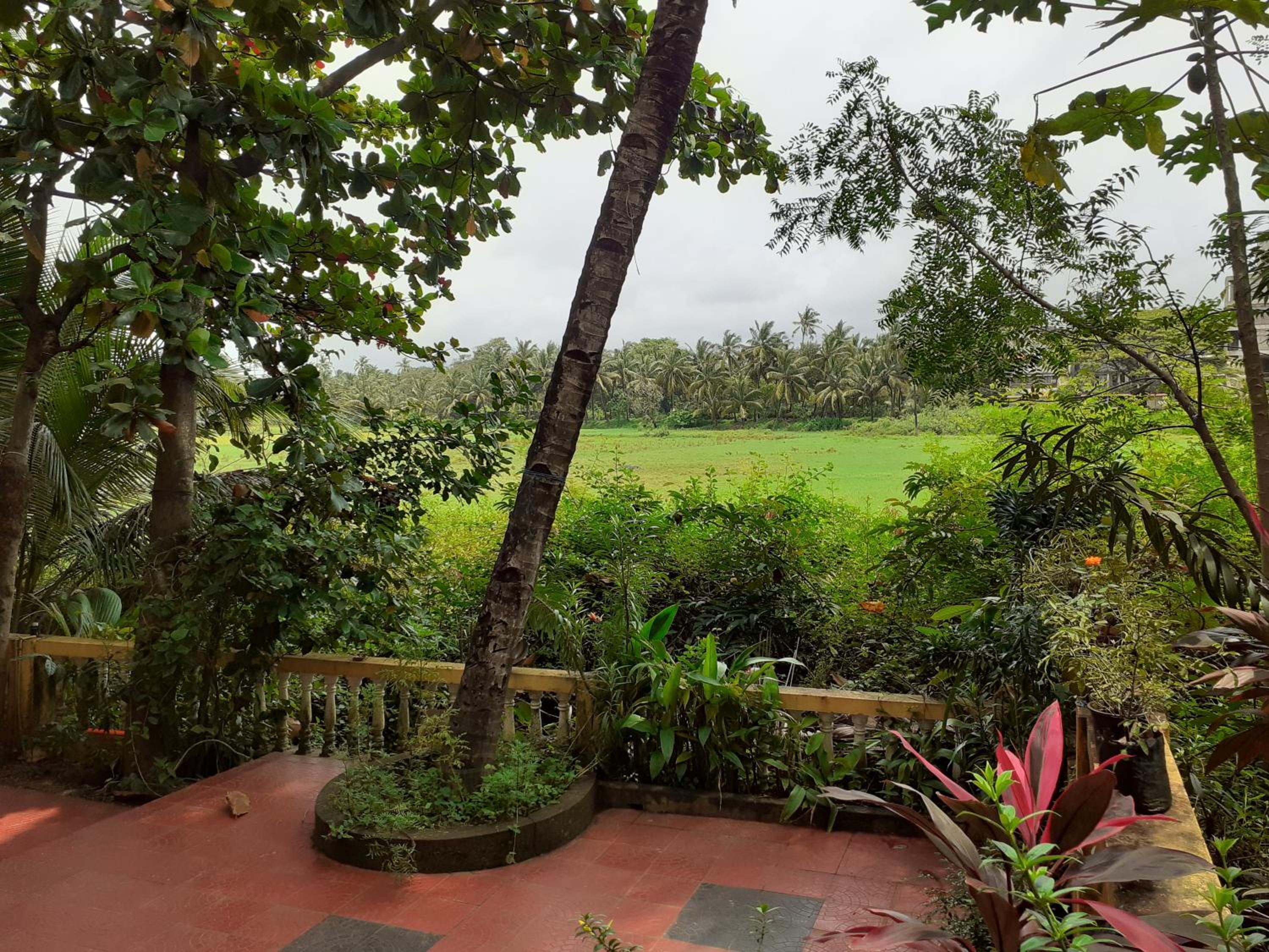 Country View Cottage Colva, photo 10