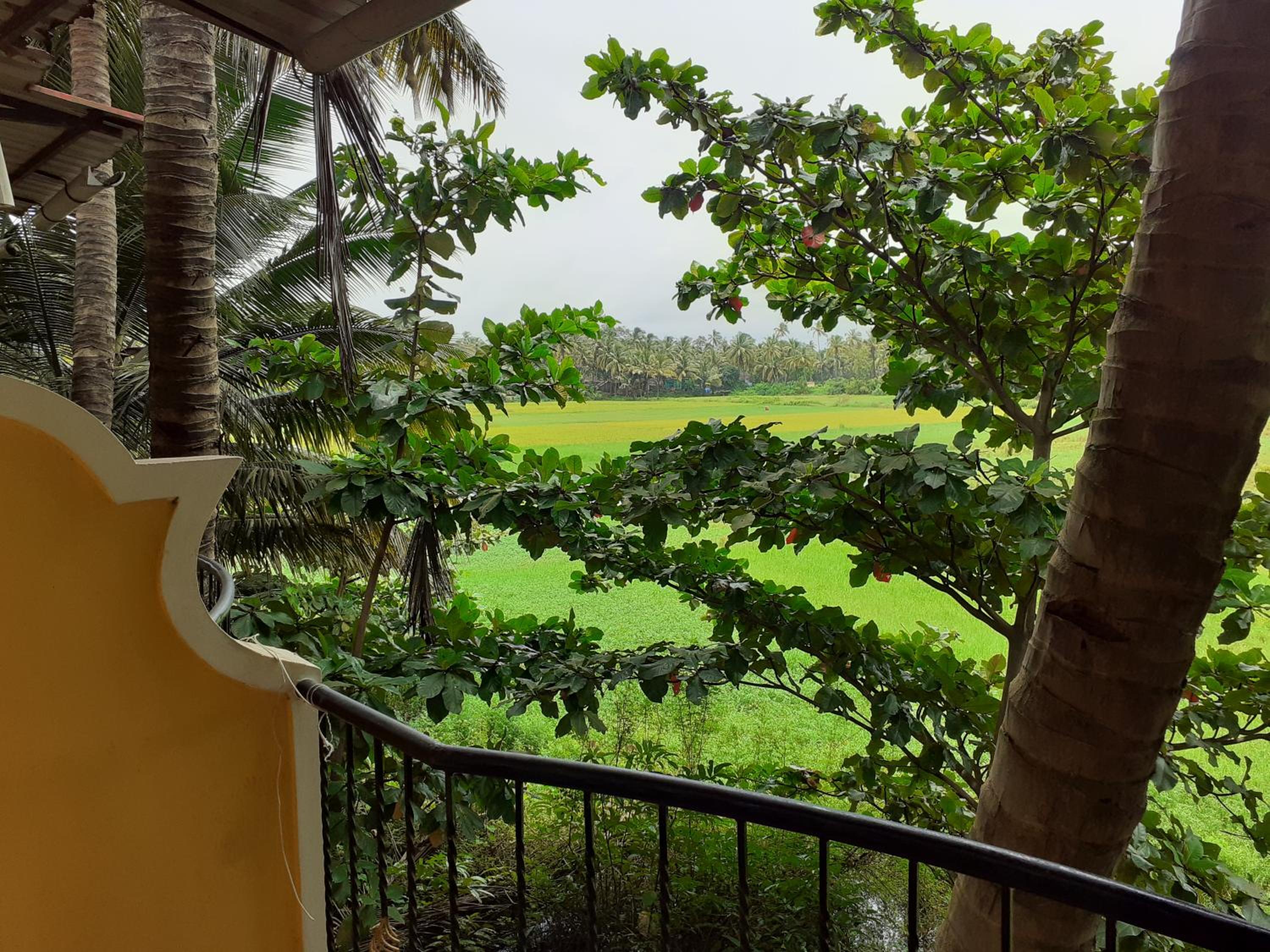 Country View Cottage Colva, photo 24
