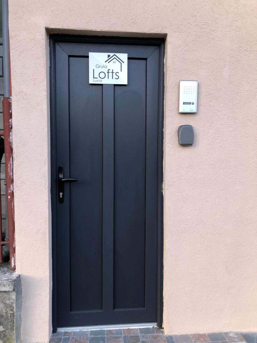 Gruia Lofts view 2