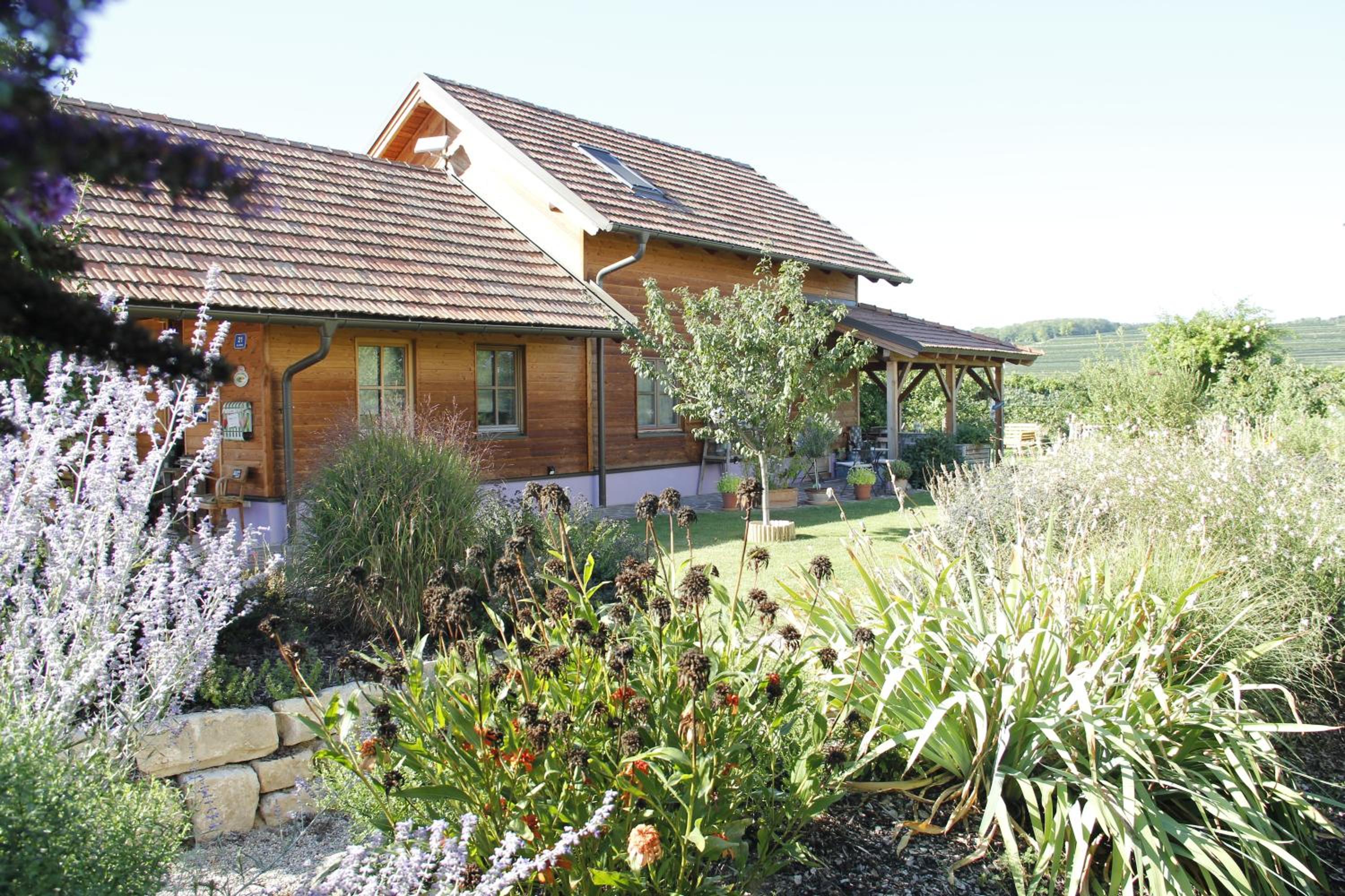 Photo 45
