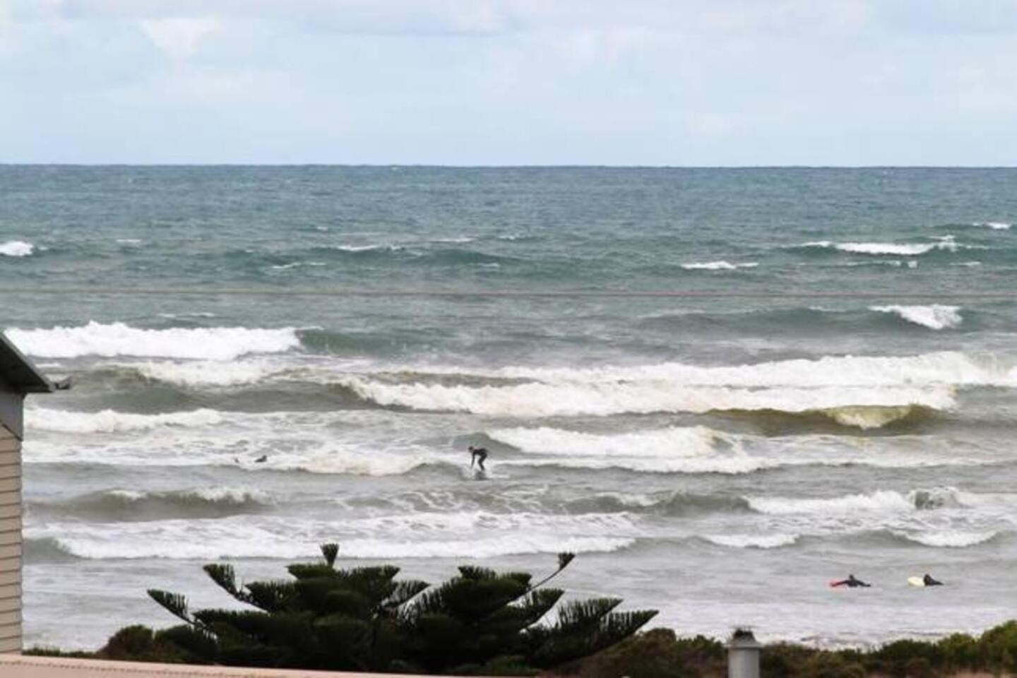 SeaWatch-Sea Views