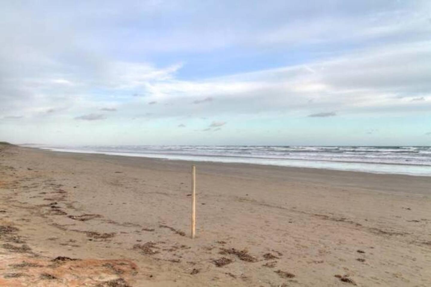 SeaWatch-Sea Views
