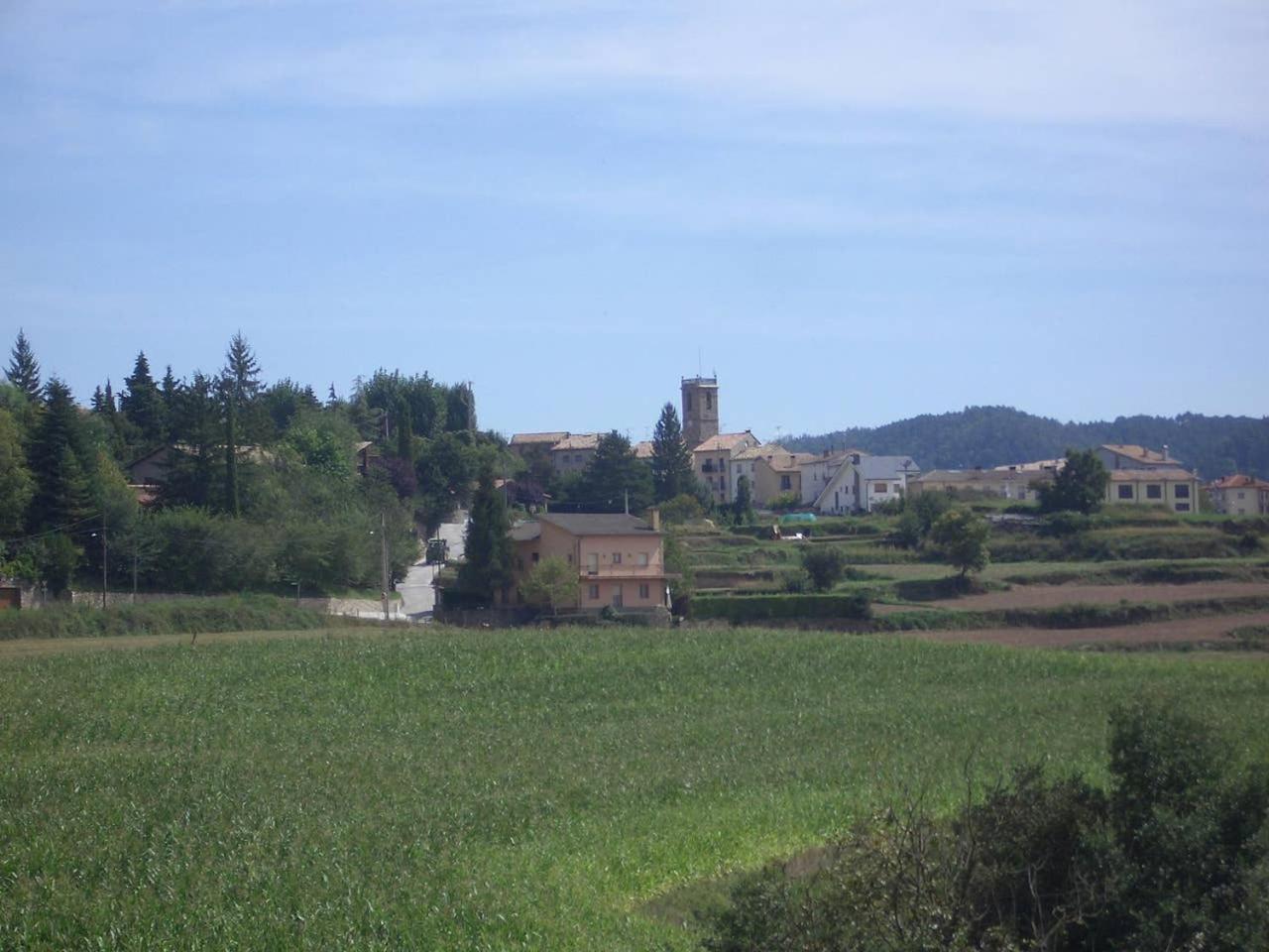 Photo 36