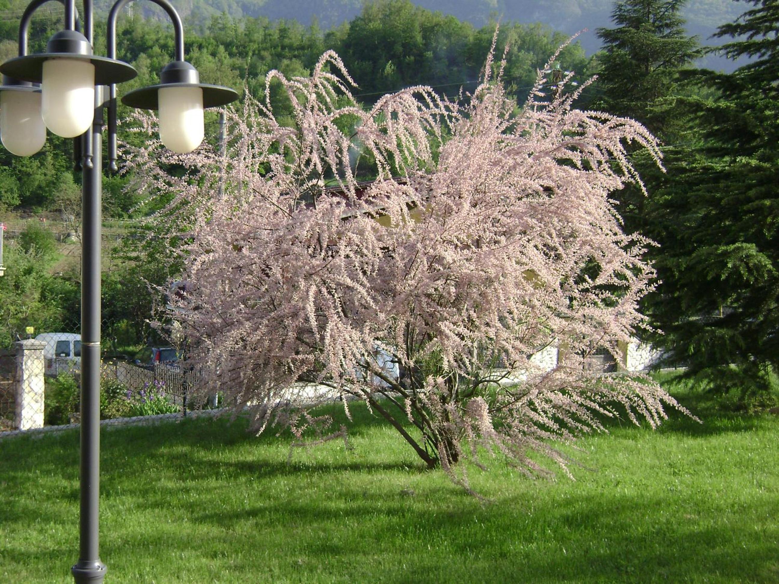 Villa Benice en Morino