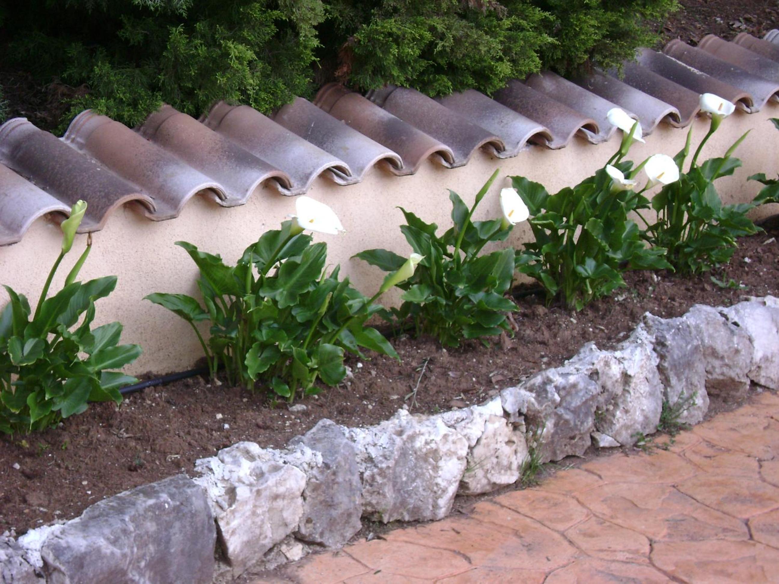 Villa Benice