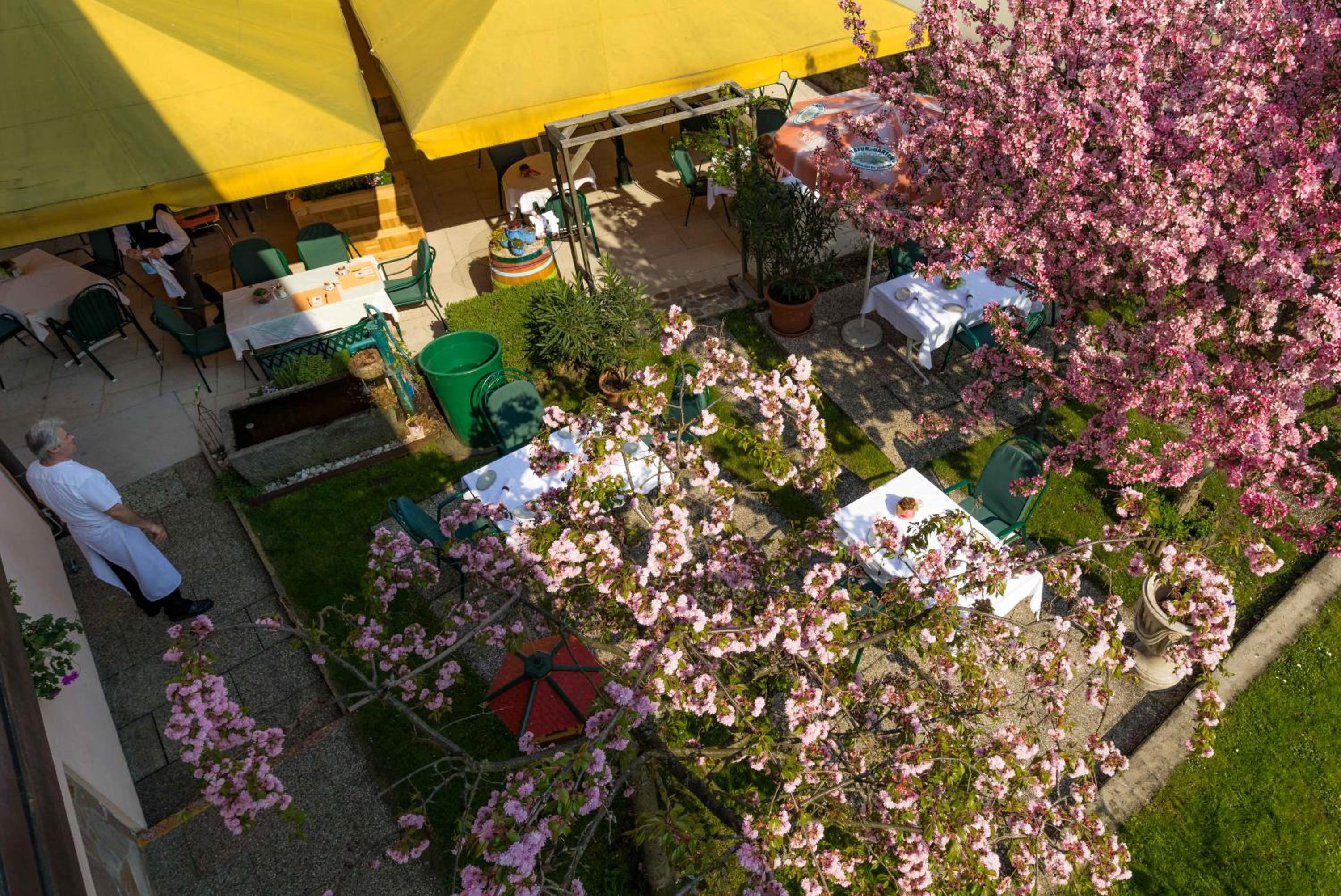 Landgasthof zur Linde Laaben