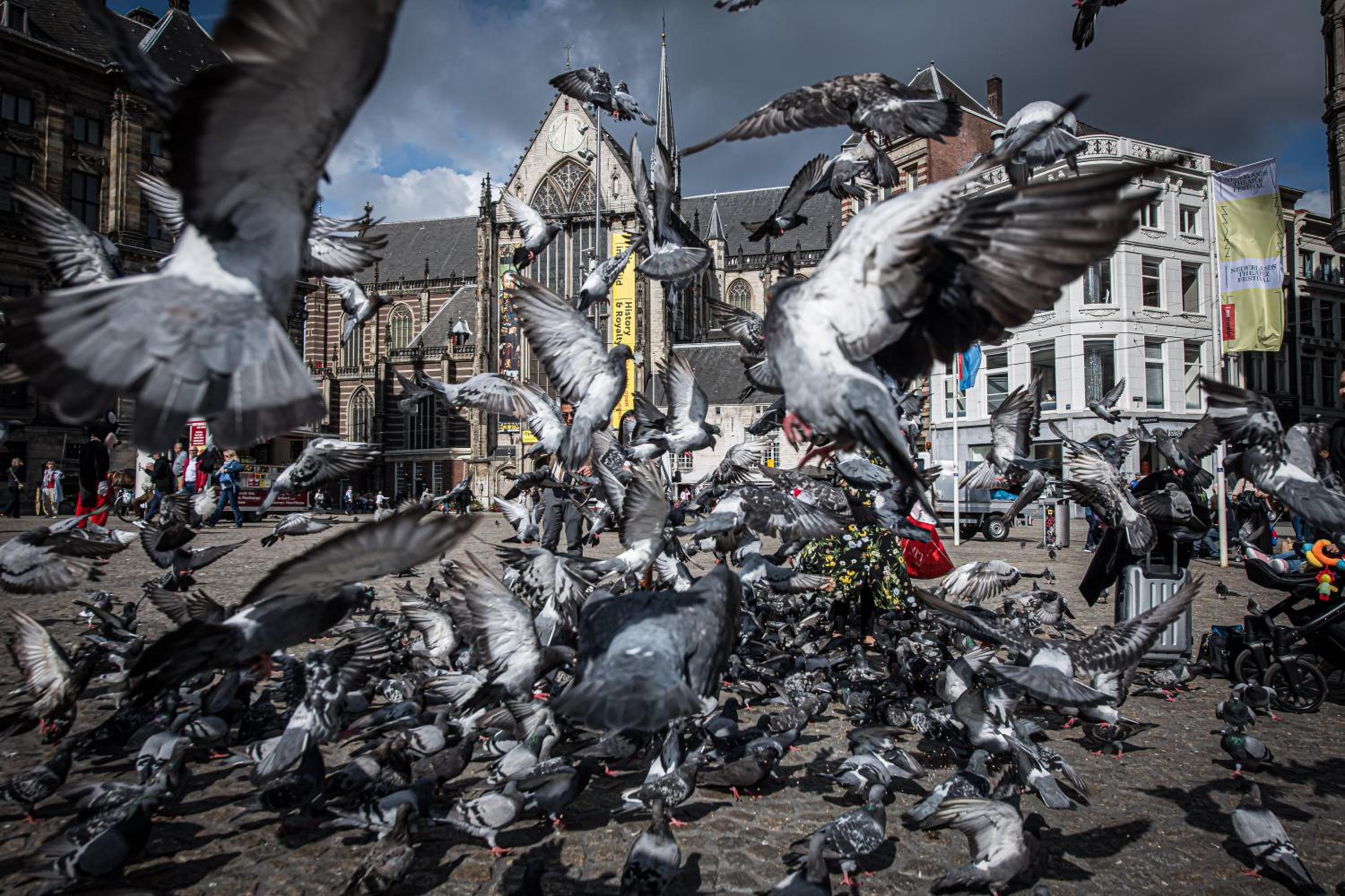 City Break Amsterdam