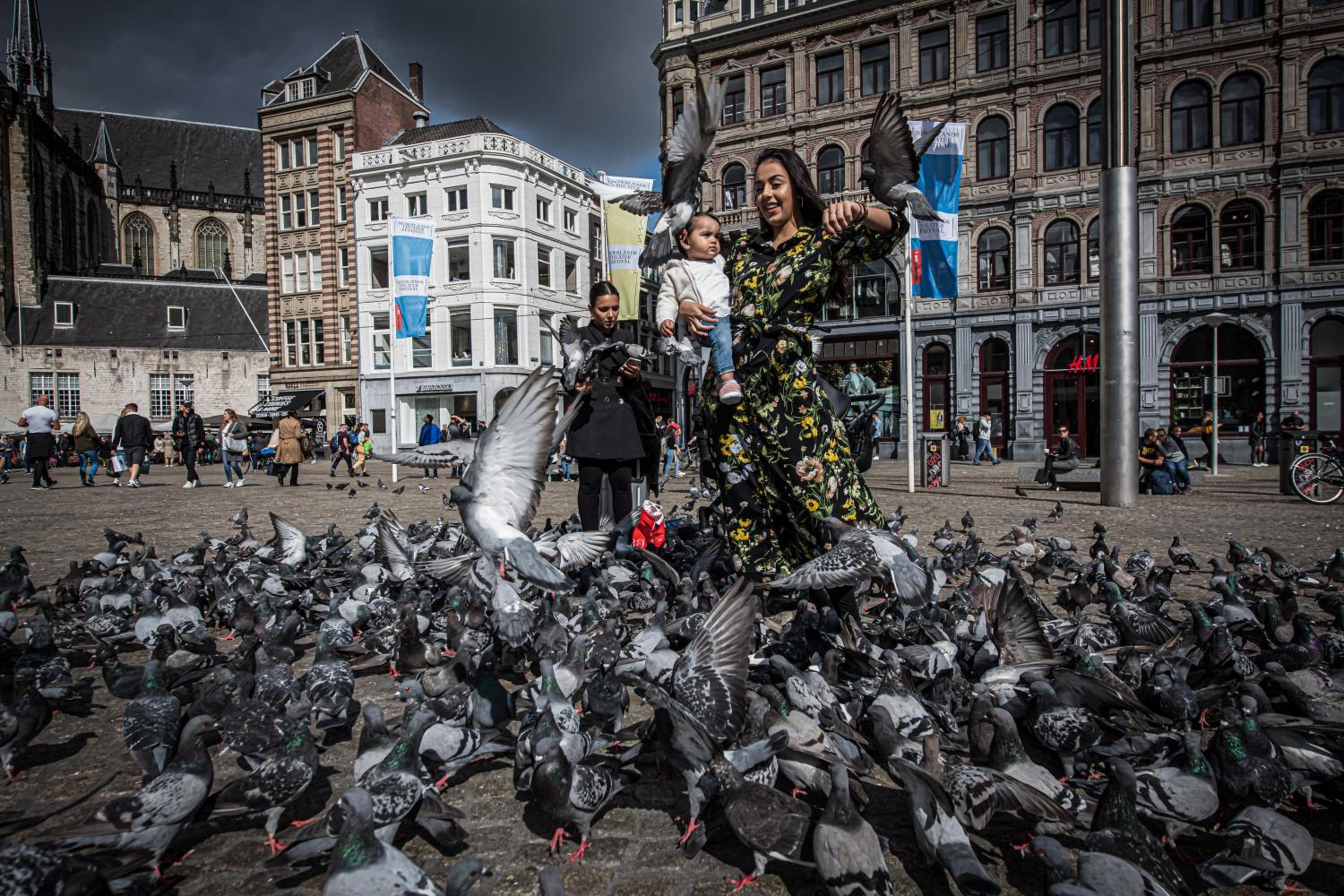 City Break Amsterdam