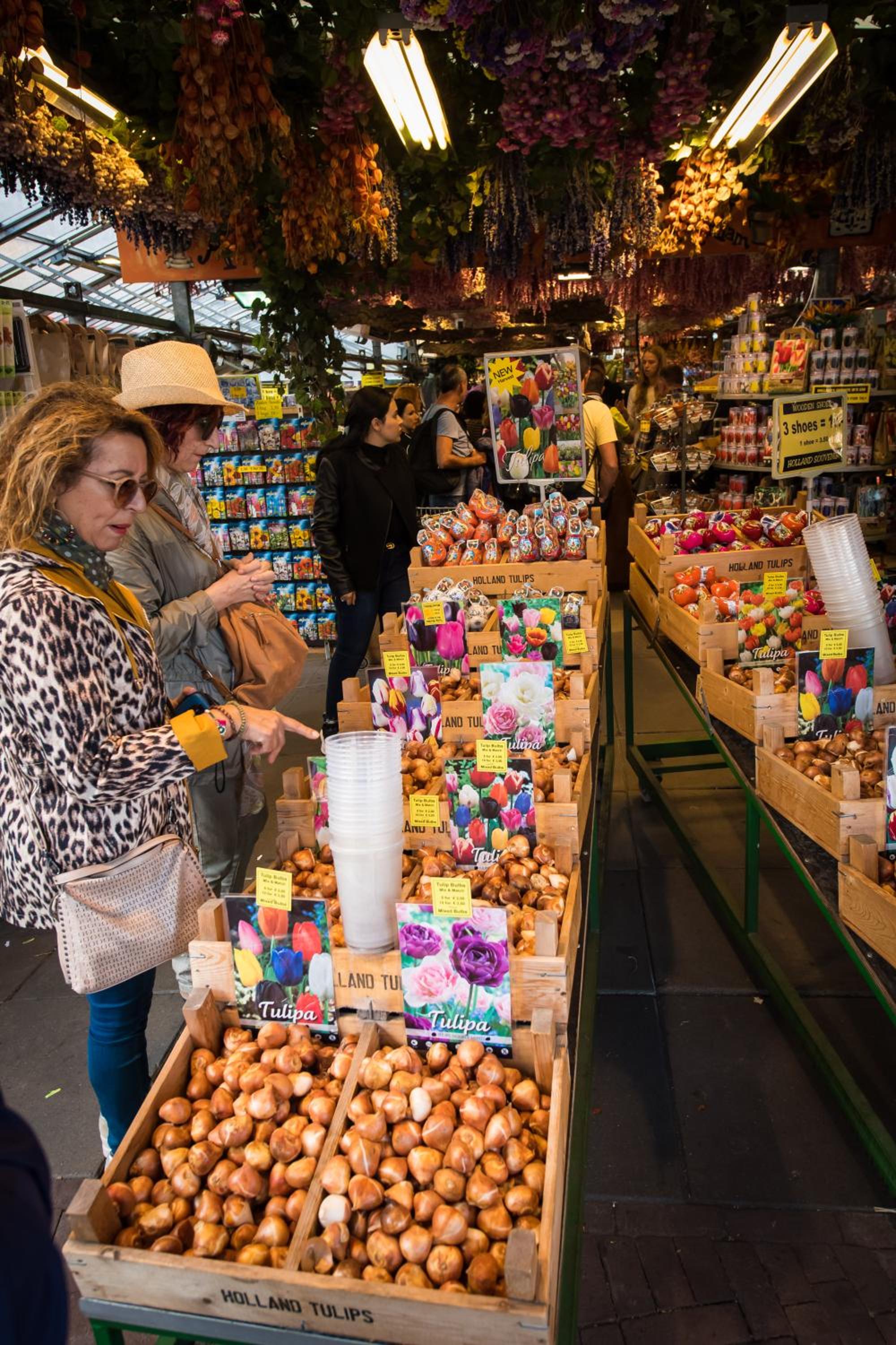 City Break Amsterdam
