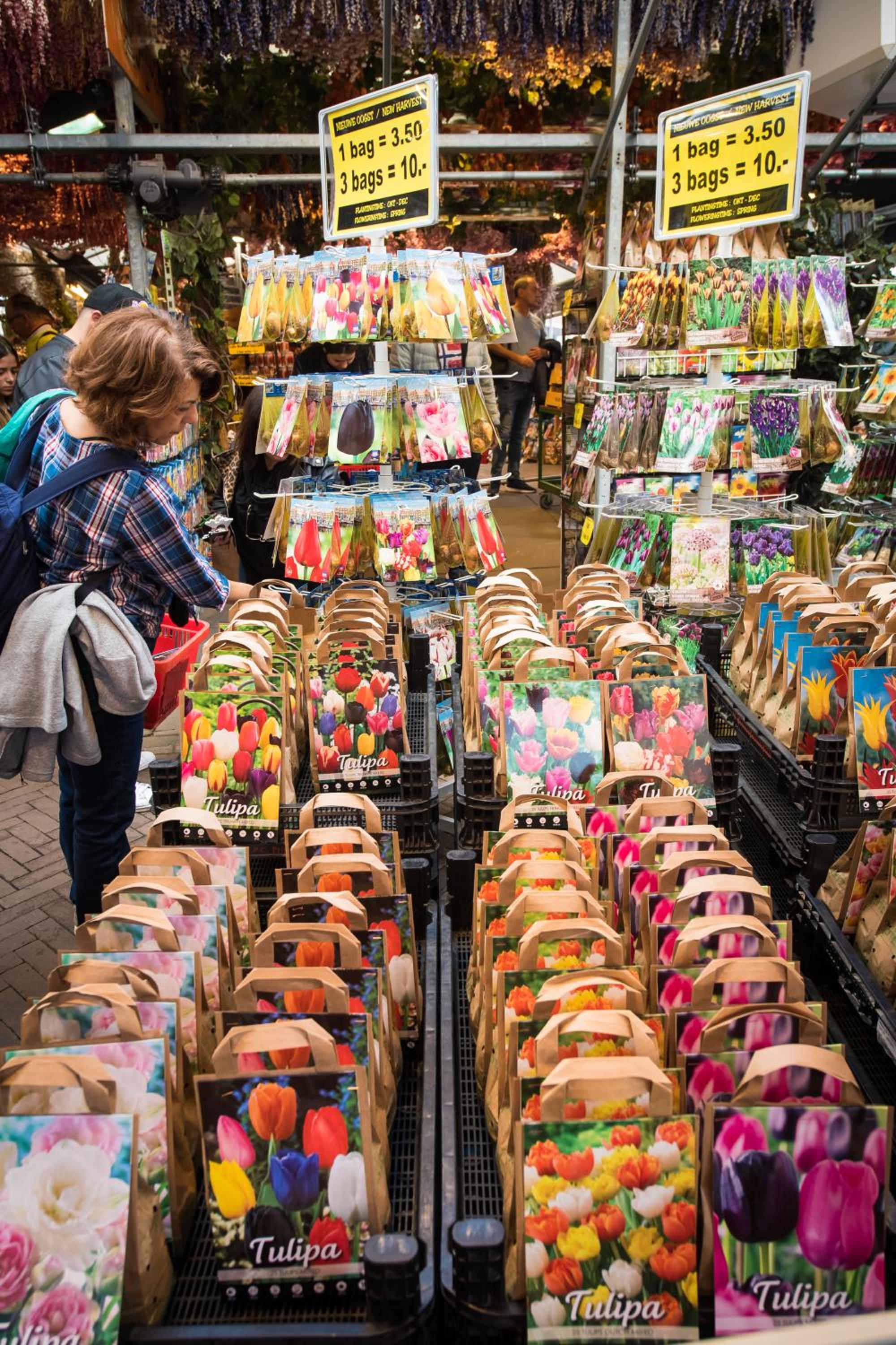 City Break Amsterdam