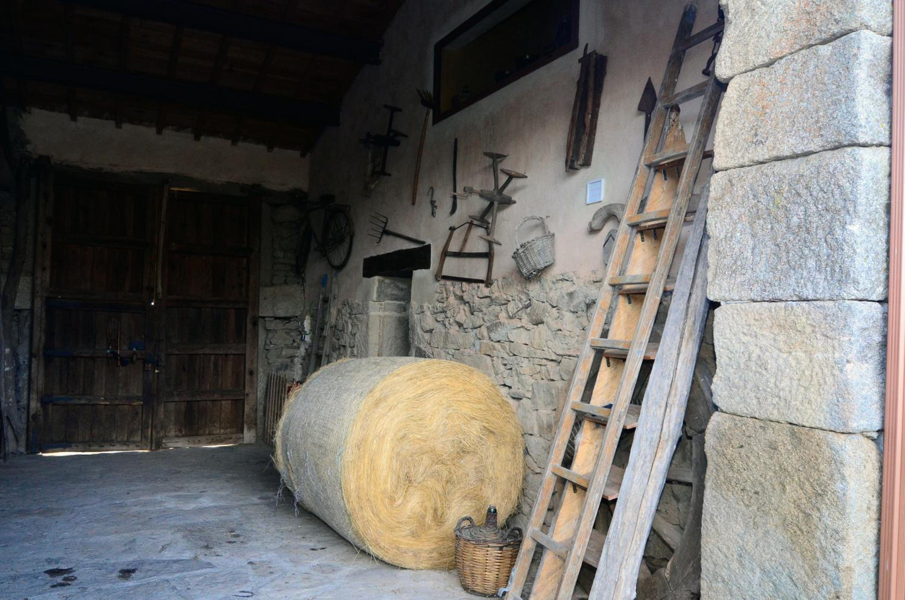 Photo 13