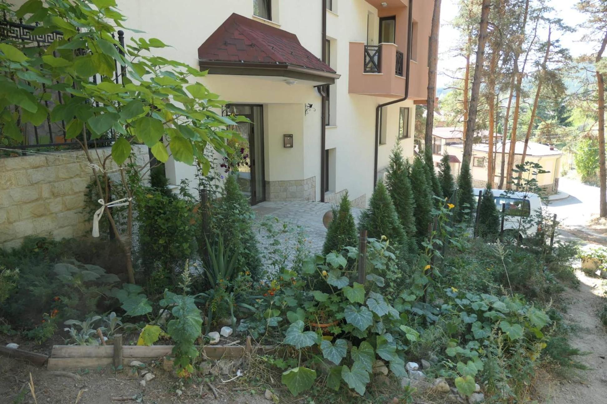 Photo 20