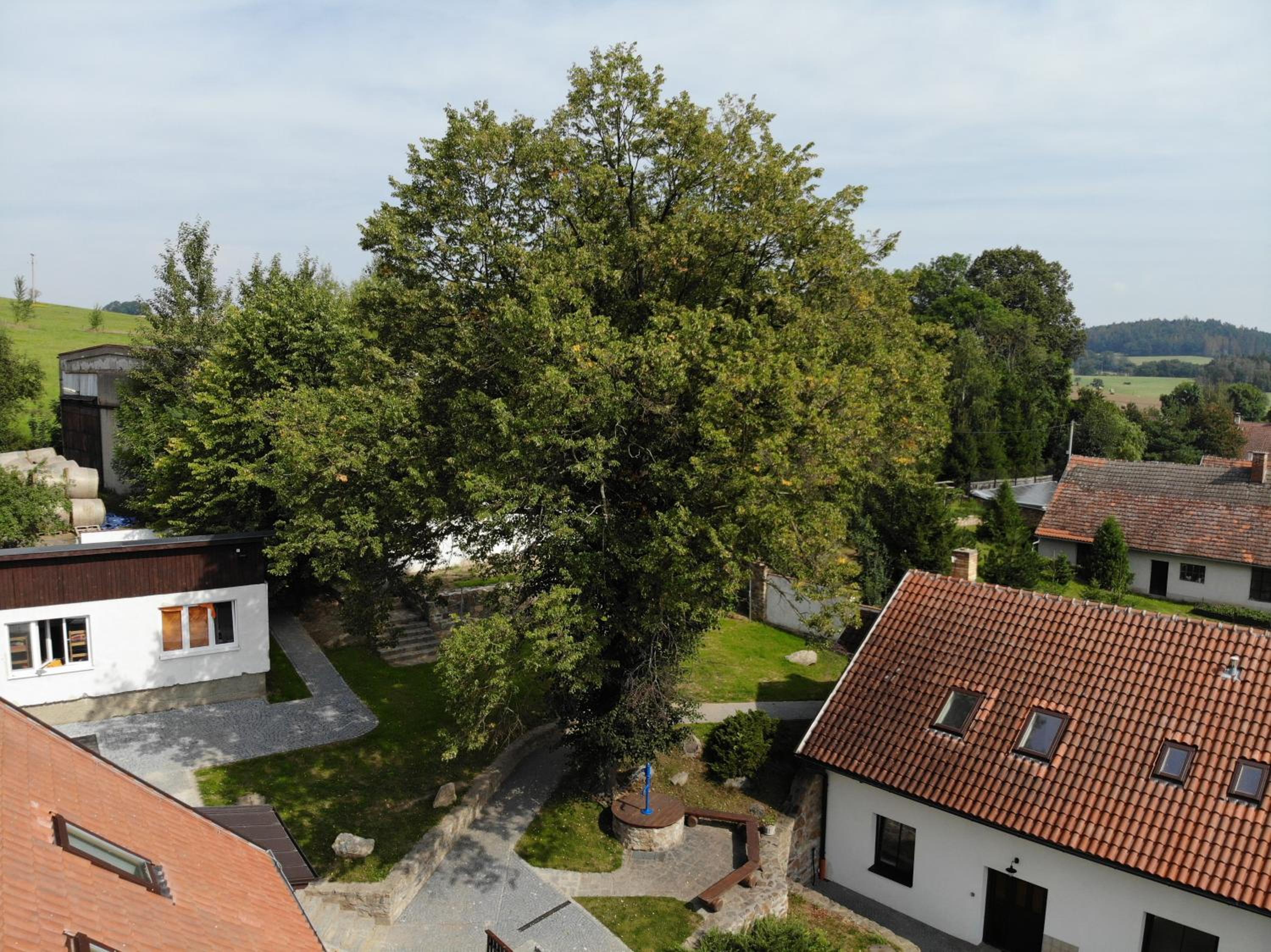 Statek Český Dvůr