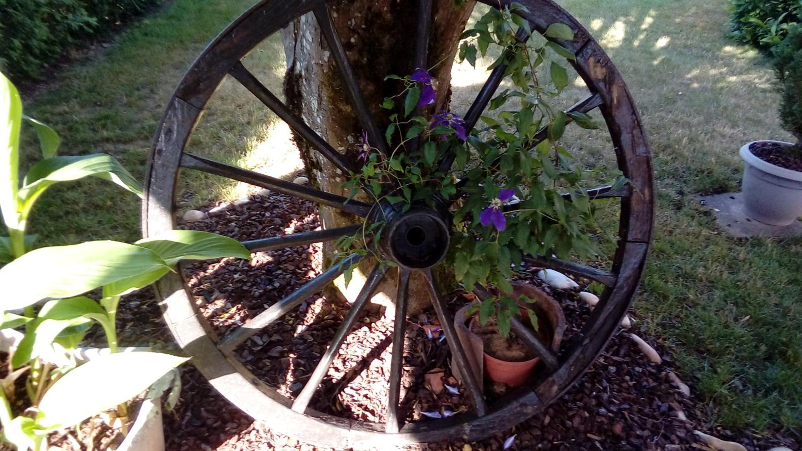 Photo 15