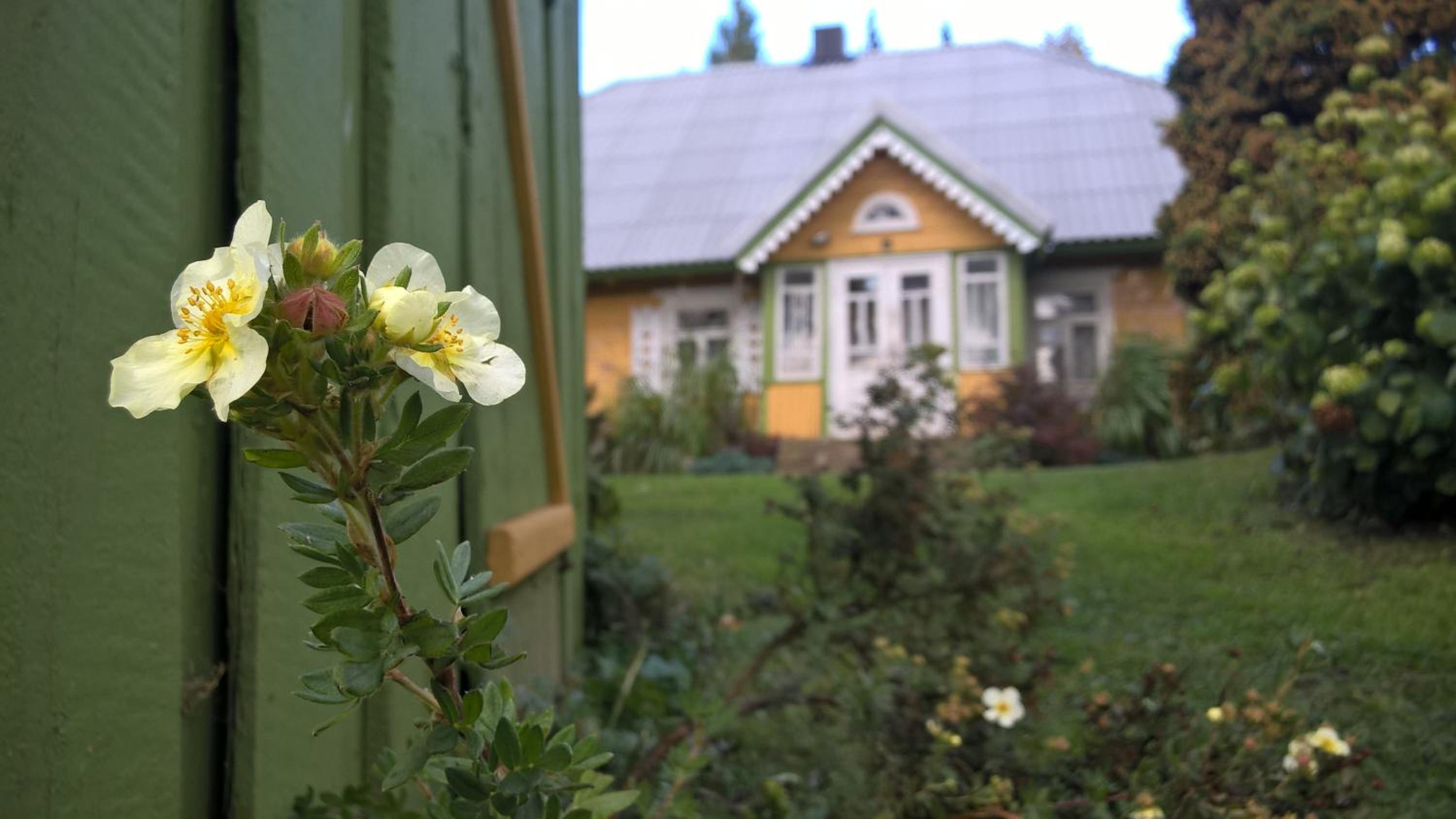 Photo 57