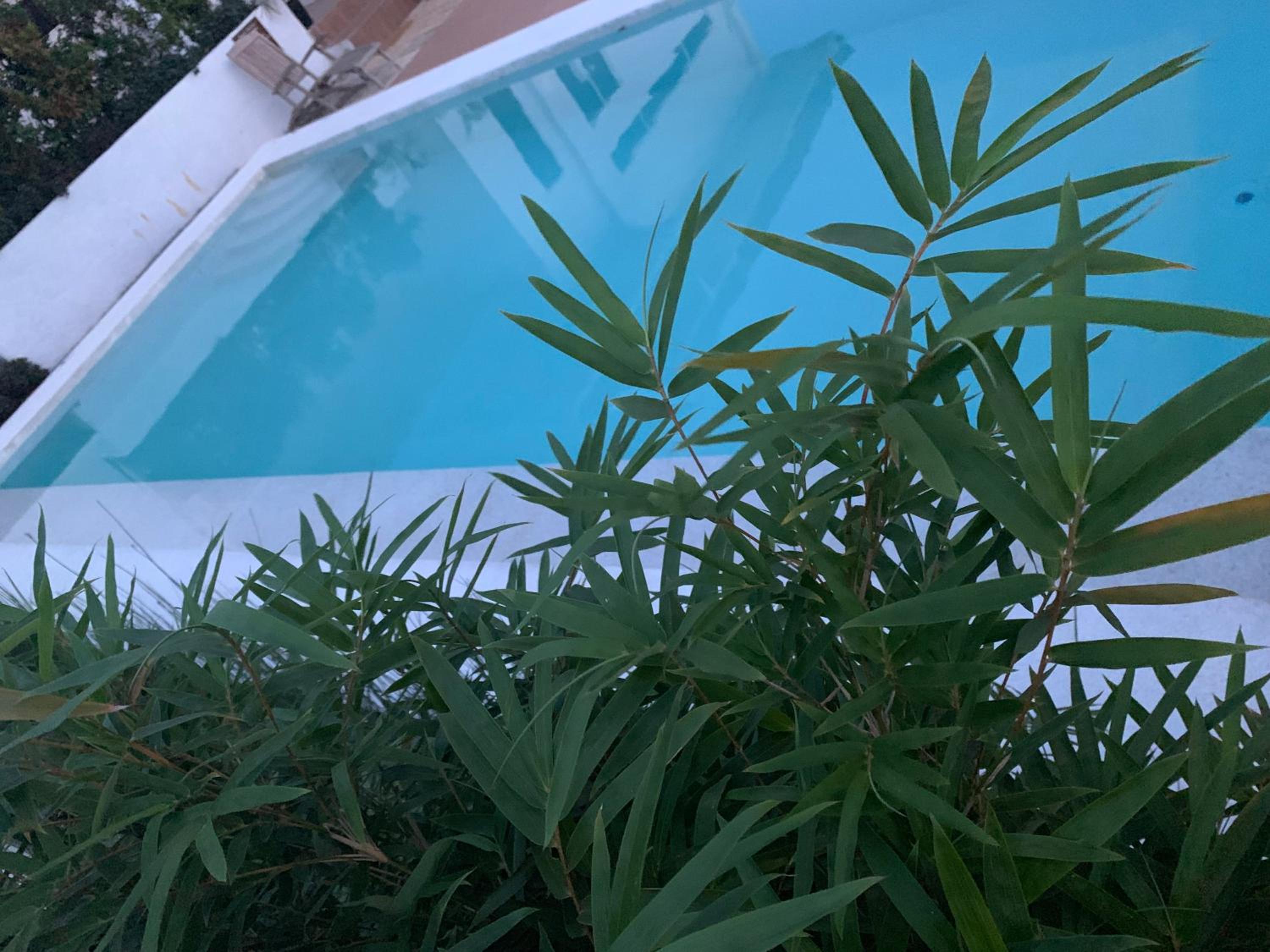 Terreza's Place