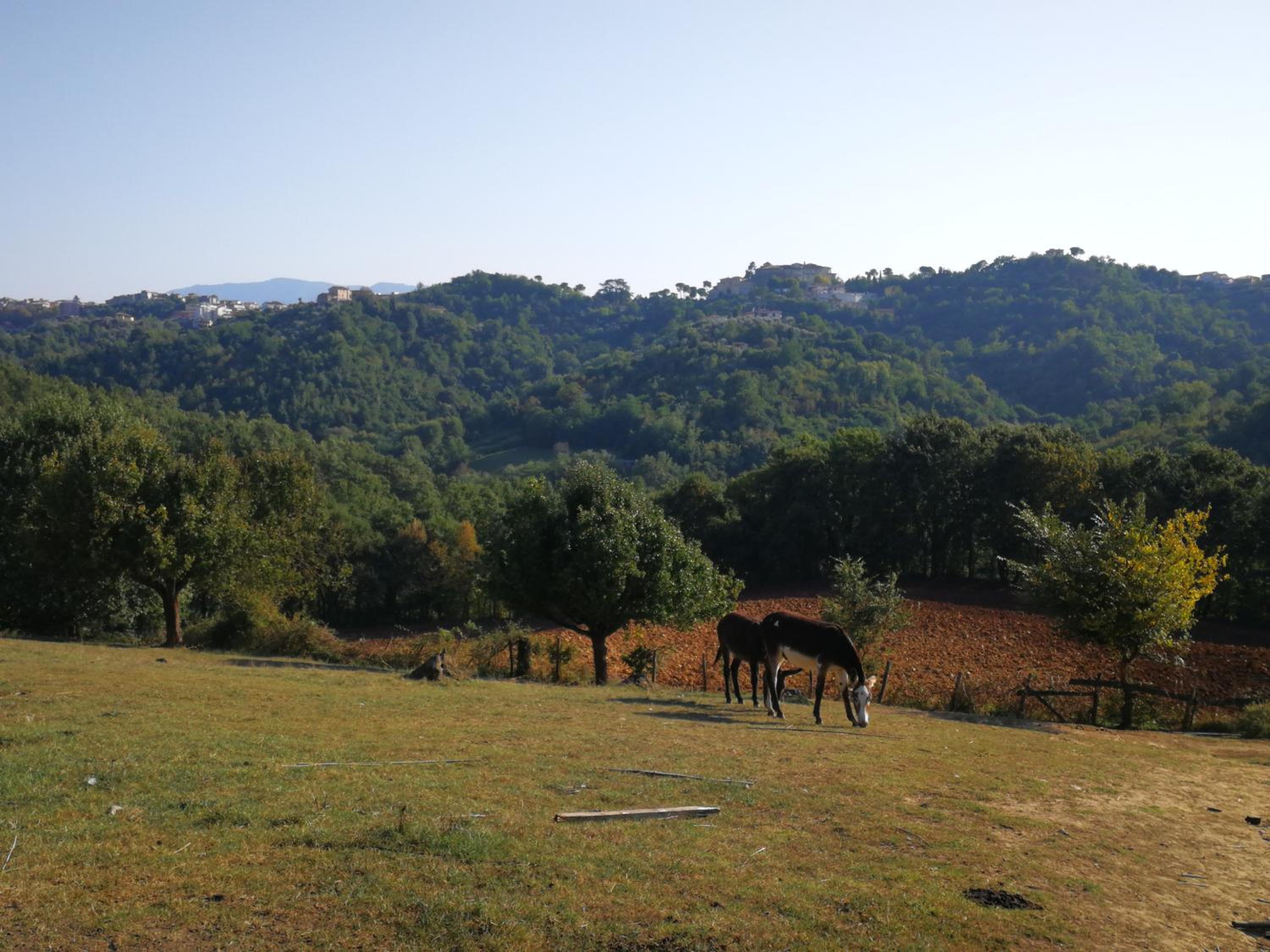 Agriturismo Cisogna