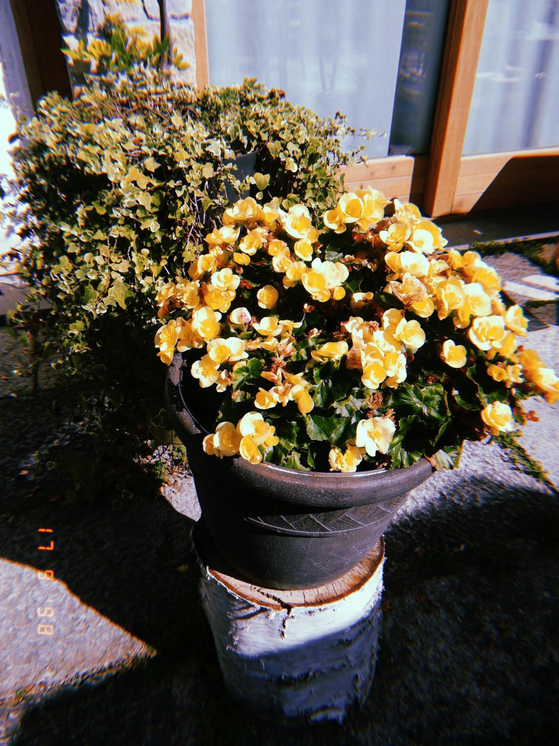 other