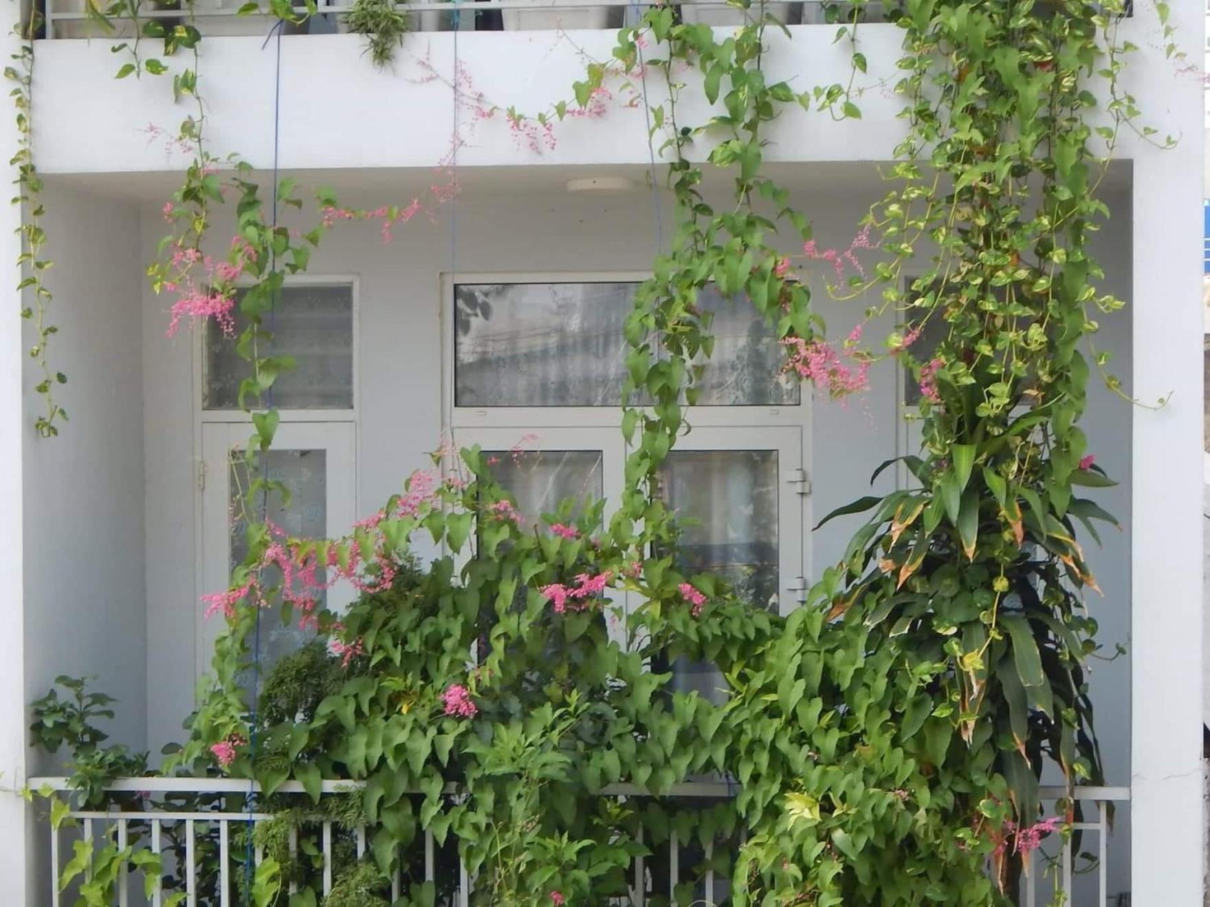 Homestay 37 AD