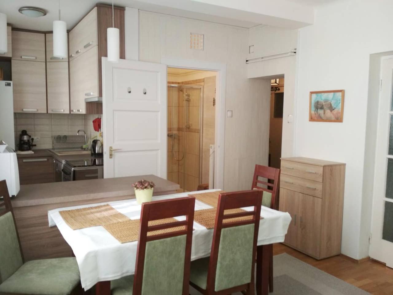 Zsuzsa Apartman view 5
