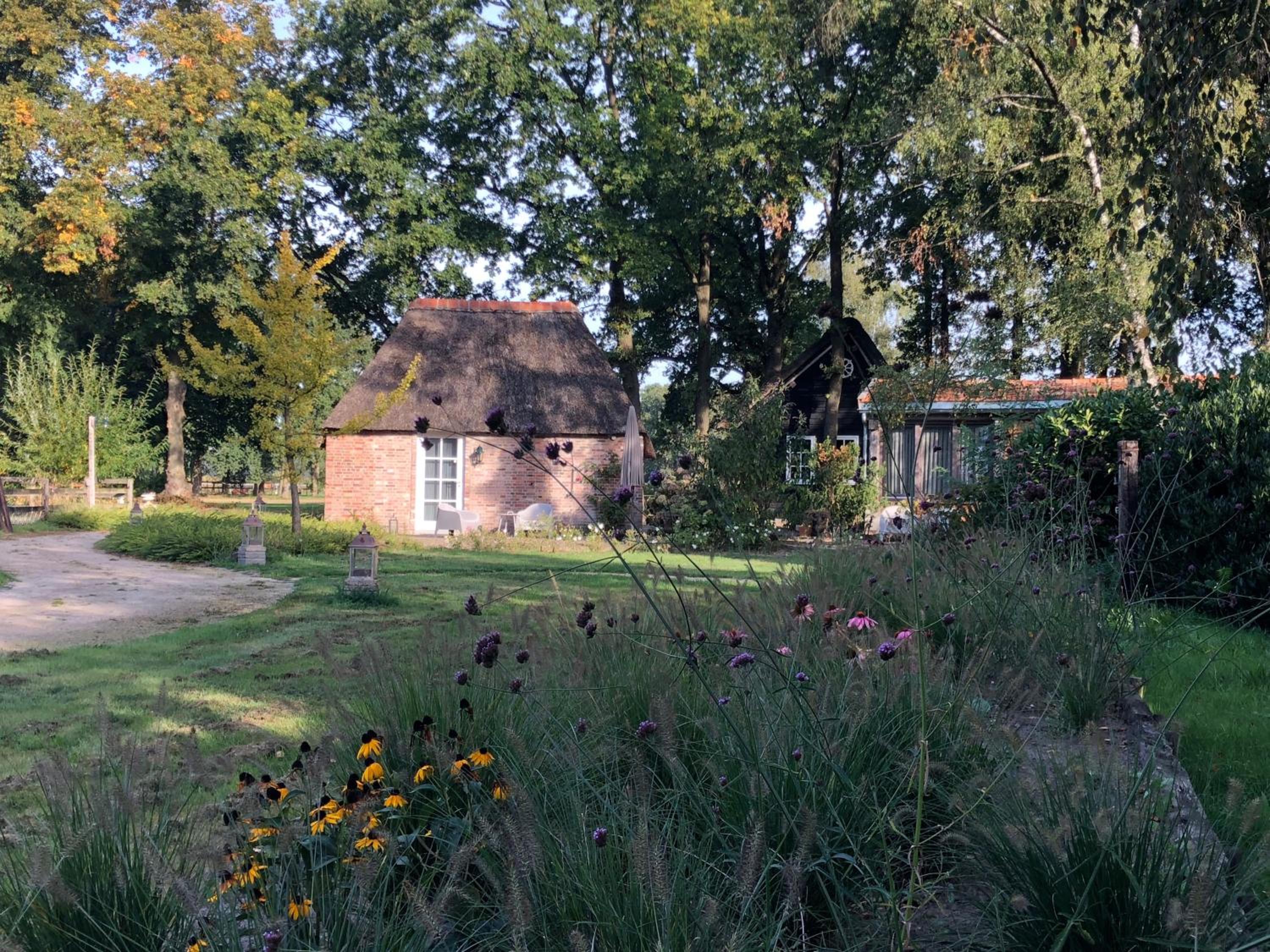 Photo 28