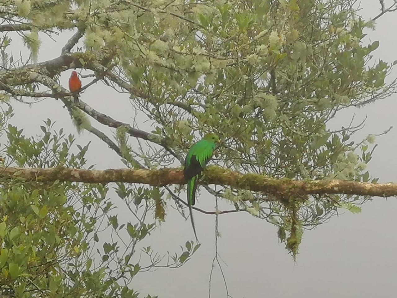 Miriam'S Quetzals lodge