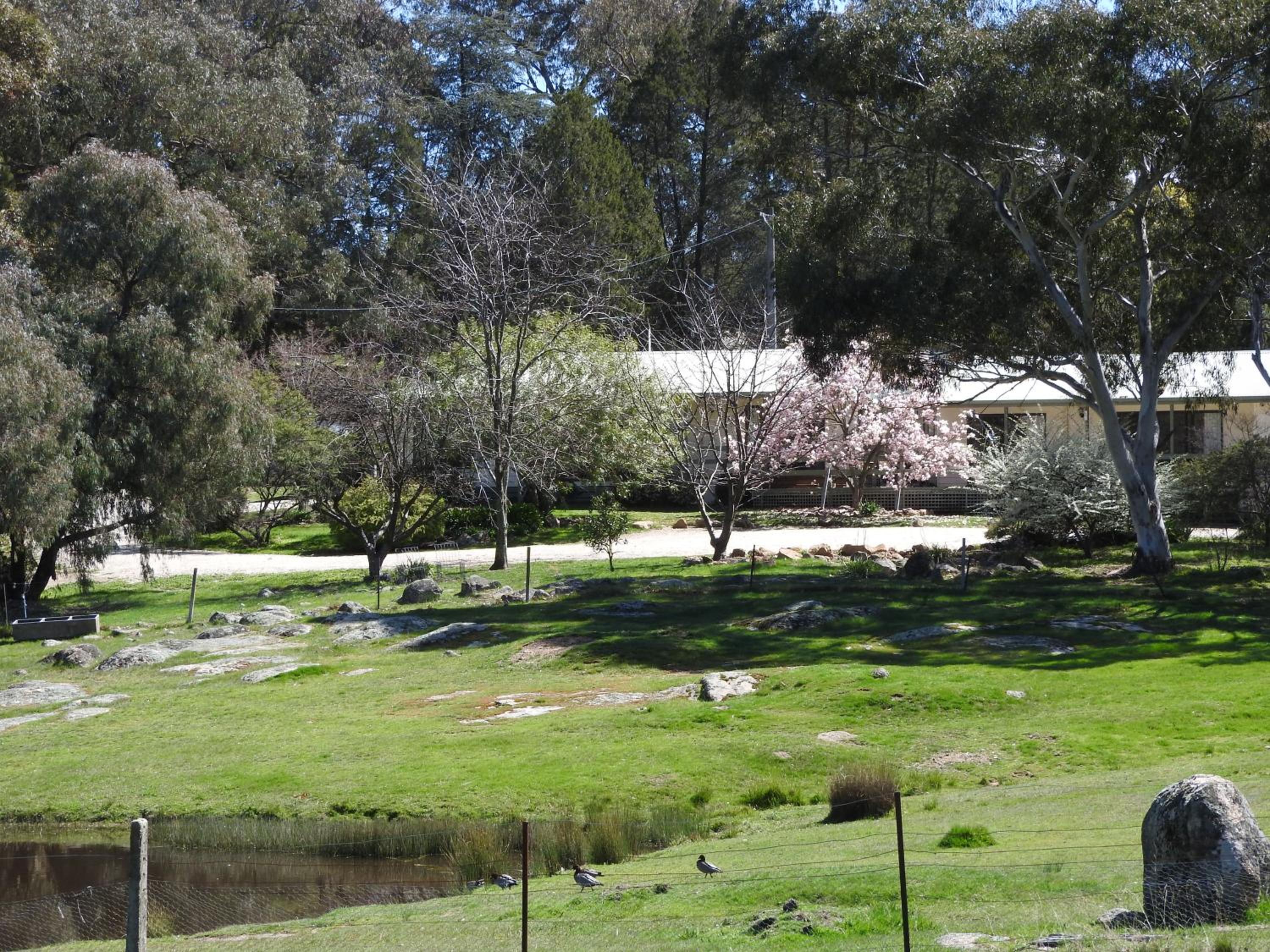 Golden Heritage Apartments Beechworth