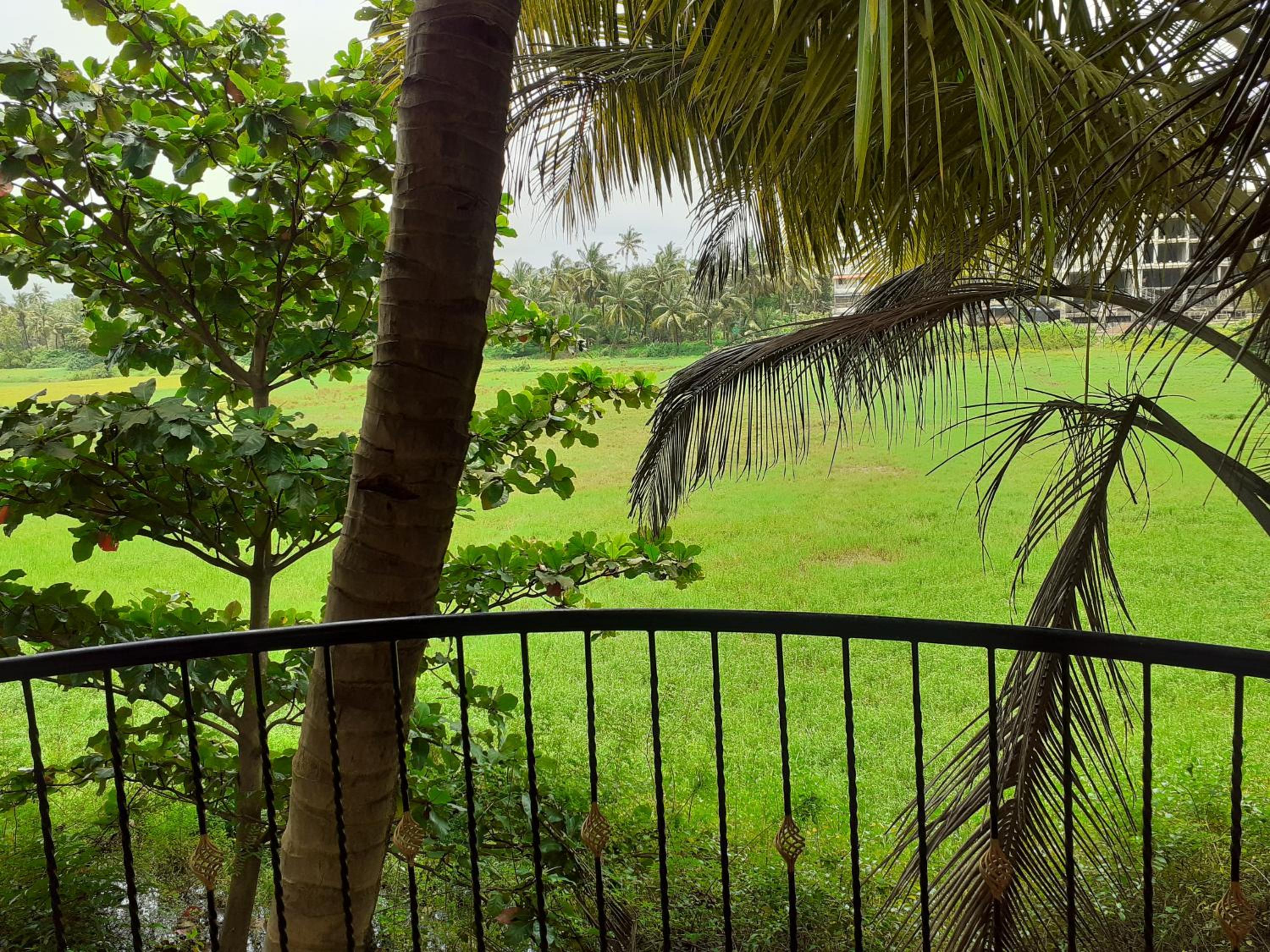Country View Cottage Colva