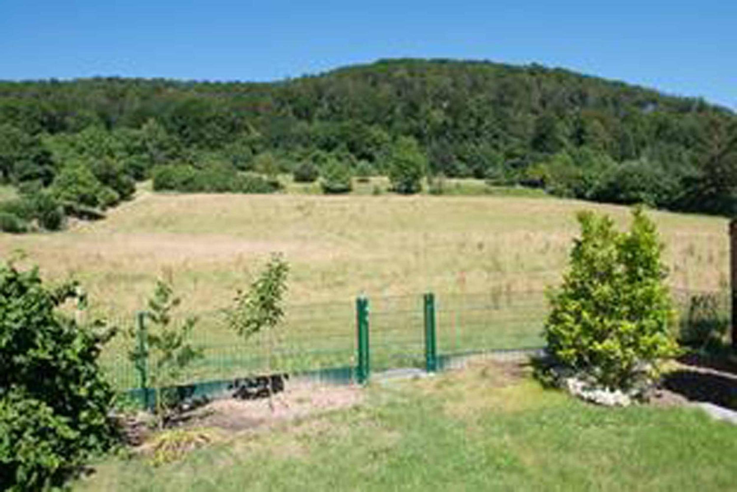 Ferienwohnung Abracadabra view 5
