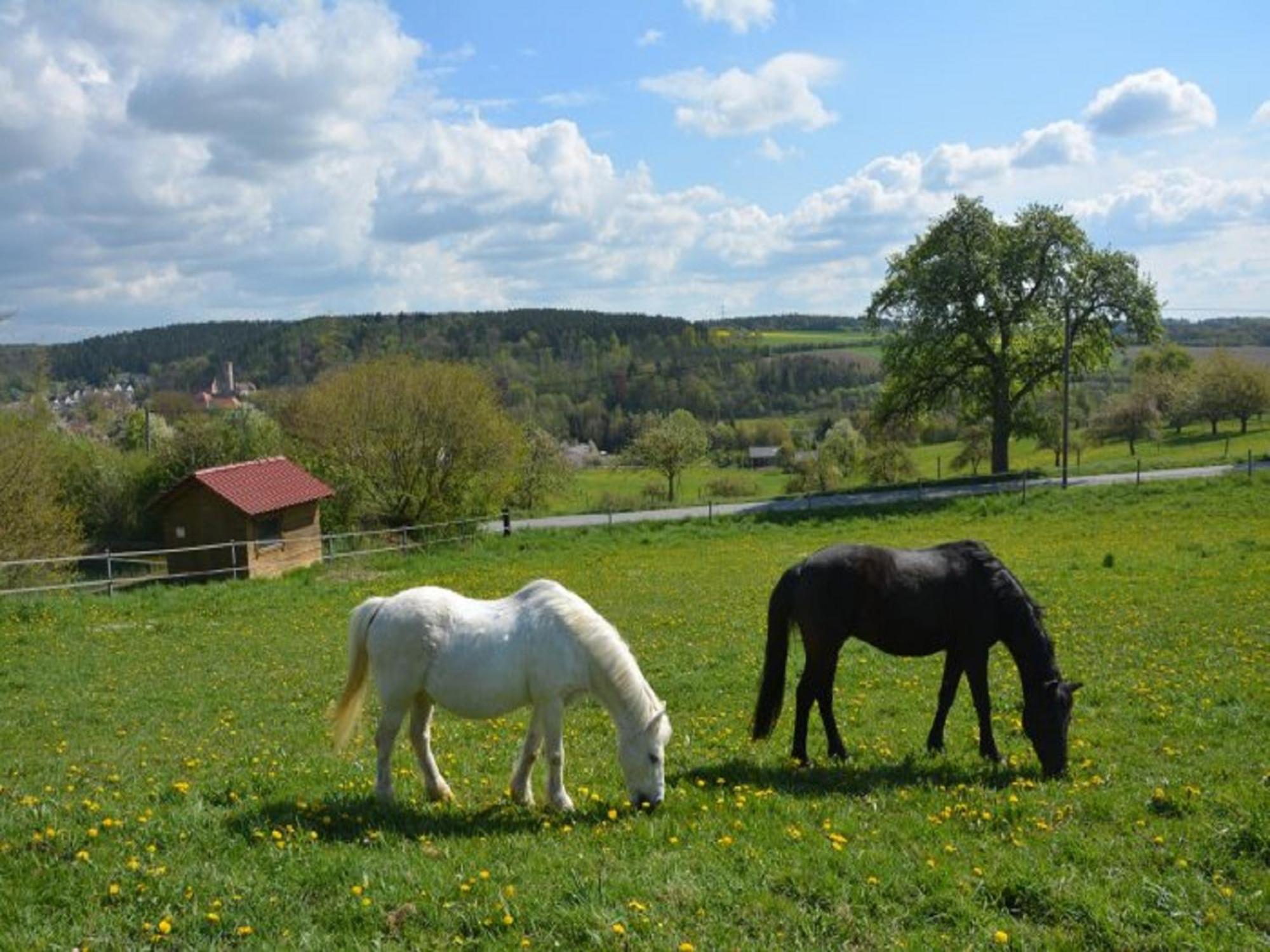 Ferienhof Pfeiffer